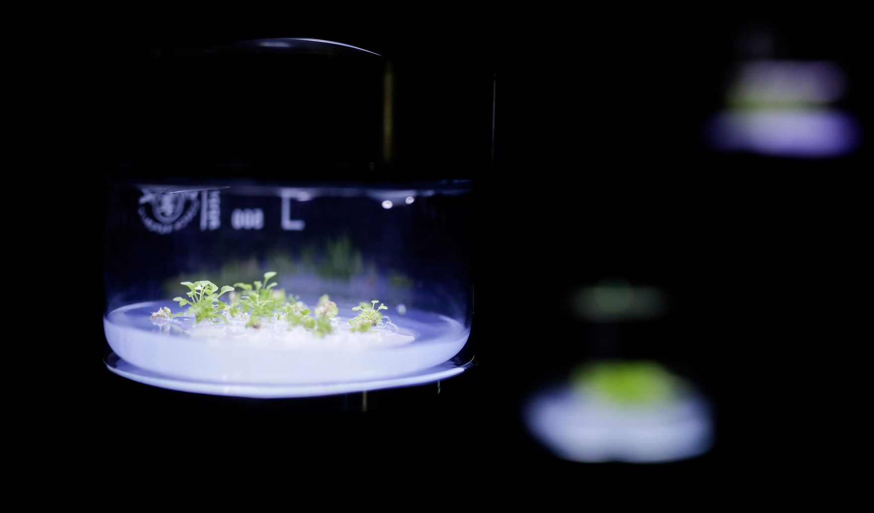 Am 22. M&auml;rz 2019 reiste Bundesminister Gernot Bl&uuml;mel nach Paris. Im Bild beim Besuch der Ausstellung &quot;La Fabrique du vivant: Mutations / Cr&eacute;ations 3&quot;