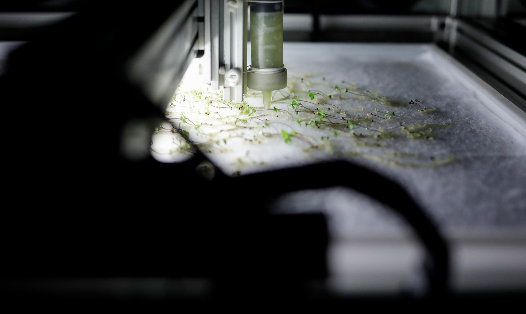 Am 22. M&auml;rz 2019 reiste Bundesminister Gernot Bl&uuml;mel nach Paris. Im Bild beim Besuch der Ausstellung &quot;La Fabrique du vivant: Mutations / Cr&eacute;ations 3&quot;