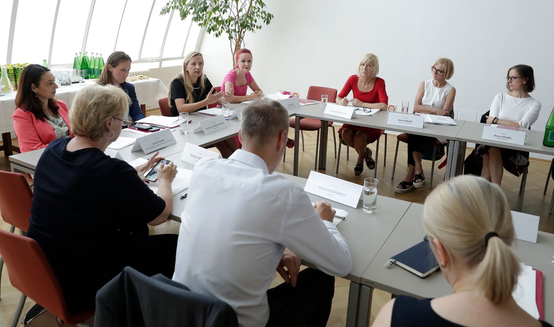 Am 21. Juni 2018 nahm Bundesministerin Juliane Bogner-Strau&szlig; an der Sitzung der Interministeriellen Arbeitsgruppe Gender Mainstreaming/Budgeting teil.