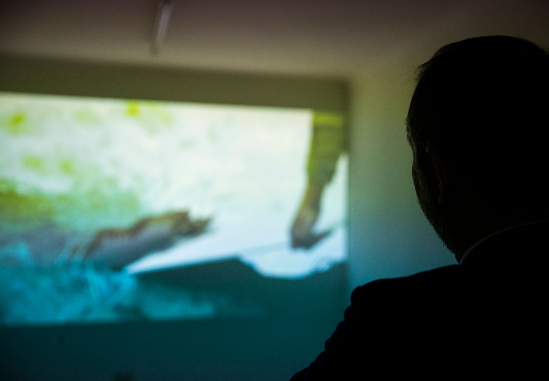 Am 11. November 2016 besuchte Kunst- und Kulturminister Thomas Drozda (im Bild) die Ausstellung &quot;Away&quot;.