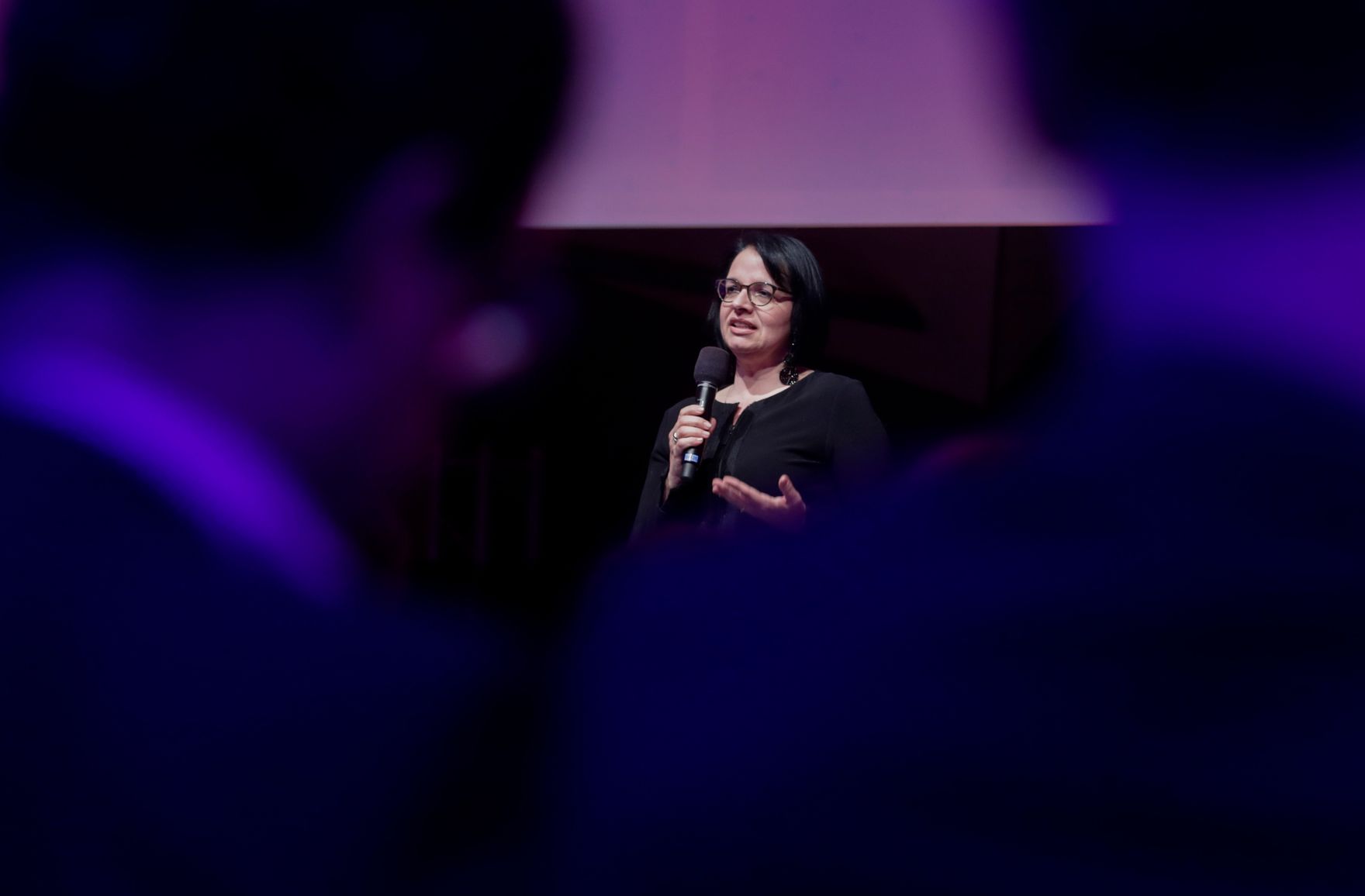 Am 25. J&auml;nner 2017 er&ouml;ffnete Kunst- und Kulturminister Thomas Drozda die Preisverleihung "&Ouml;sterreichischer Kunstpreis 2016". Im Bild Sektionschefin Andrea Ecker