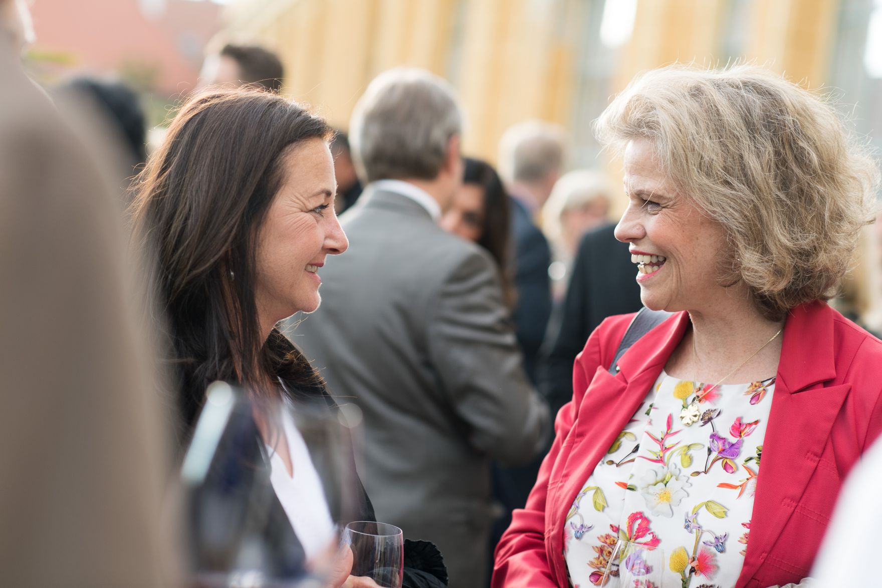 Am 25. Mai 2017 lud Kunst- und Kulturminister Thomas Drozda zum Empfang in der Orangerie anl&auml;sslich des Sommernachtskonzert der Wiener Philharmoniker. Im Bild Generaldirektorin des Kunsthistorischen Museums Sabine Haag (r.)