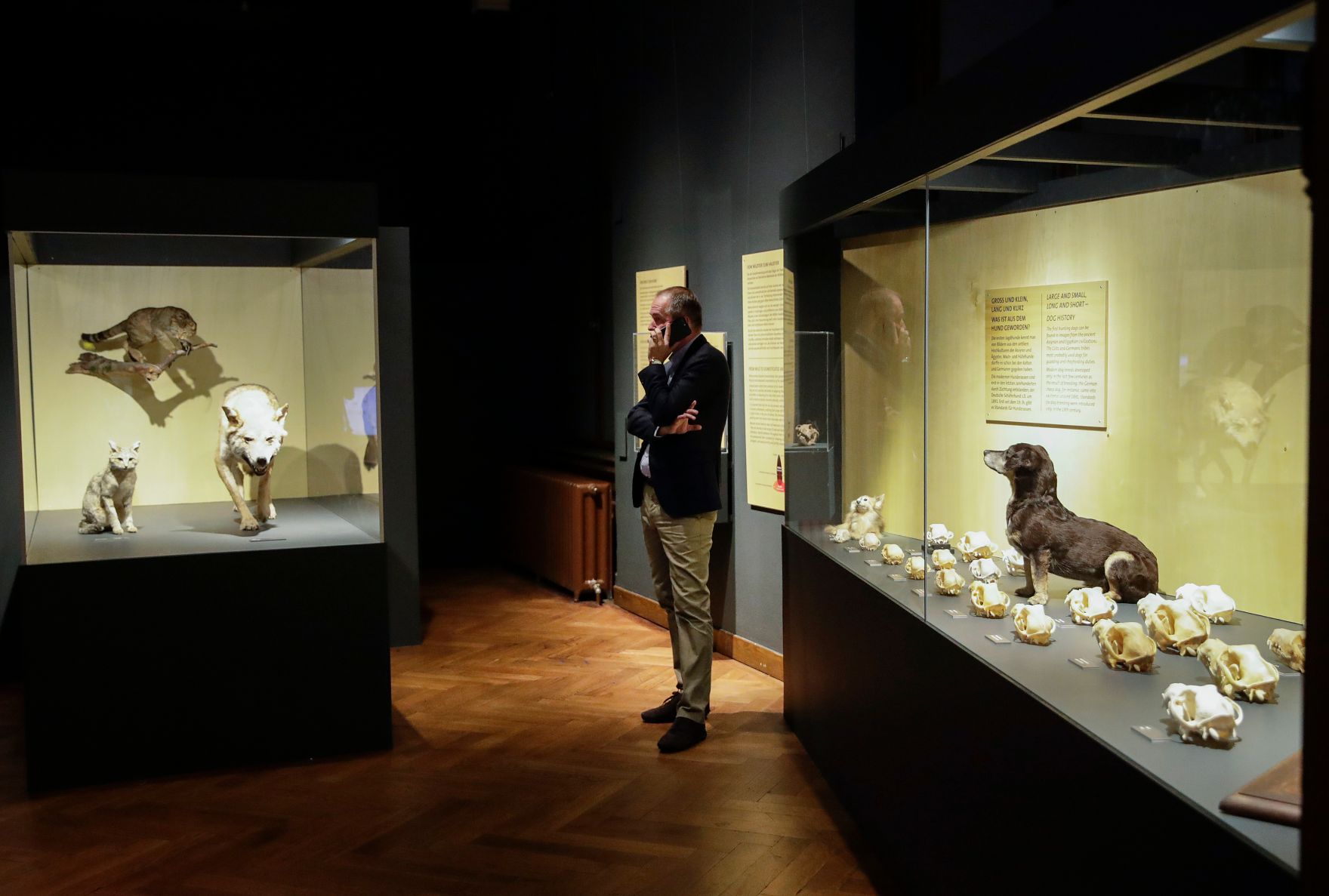 Am 7. Oktober 2017 fand die Langen Nacht der Museen statt. Im Bild Kunst- und Kulturminister Thomas Drozda im Naturhistorischen Museum.
