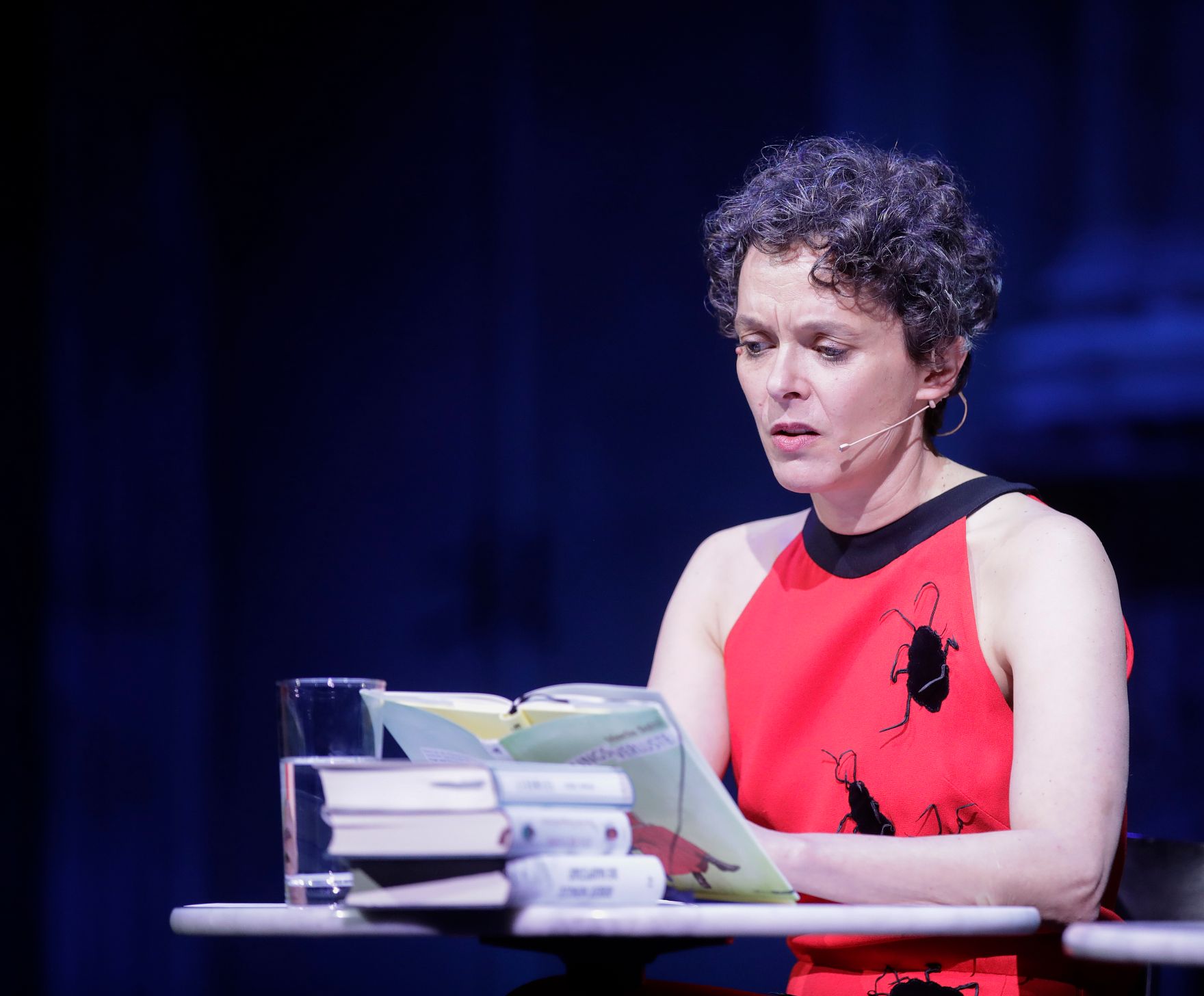 Am 7. November 2017 verlieh Kunst- und Kulturminister Thomas Drozda den &quot;&Ouml;sterreichischen Buchpreis 2017&quot;. Im Bild Moderatorin Dorothee Hartinger.