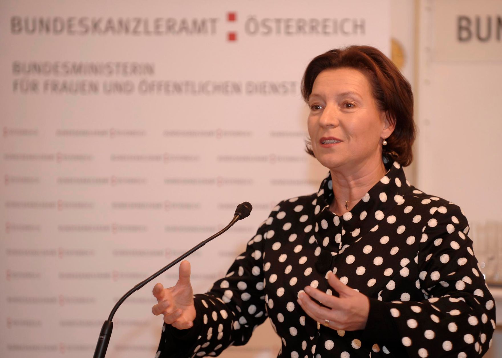Verleihung des K&auml;the-Leichter-Preises 2009 am 12. Oktober 2009 im Bundeskanzleramt. Im Bild Bundesministerin f&uuml;r Frauenangelegenheiten und &Ouml;ffentlichen Dienst Gabriele Heinisch-Hosek.