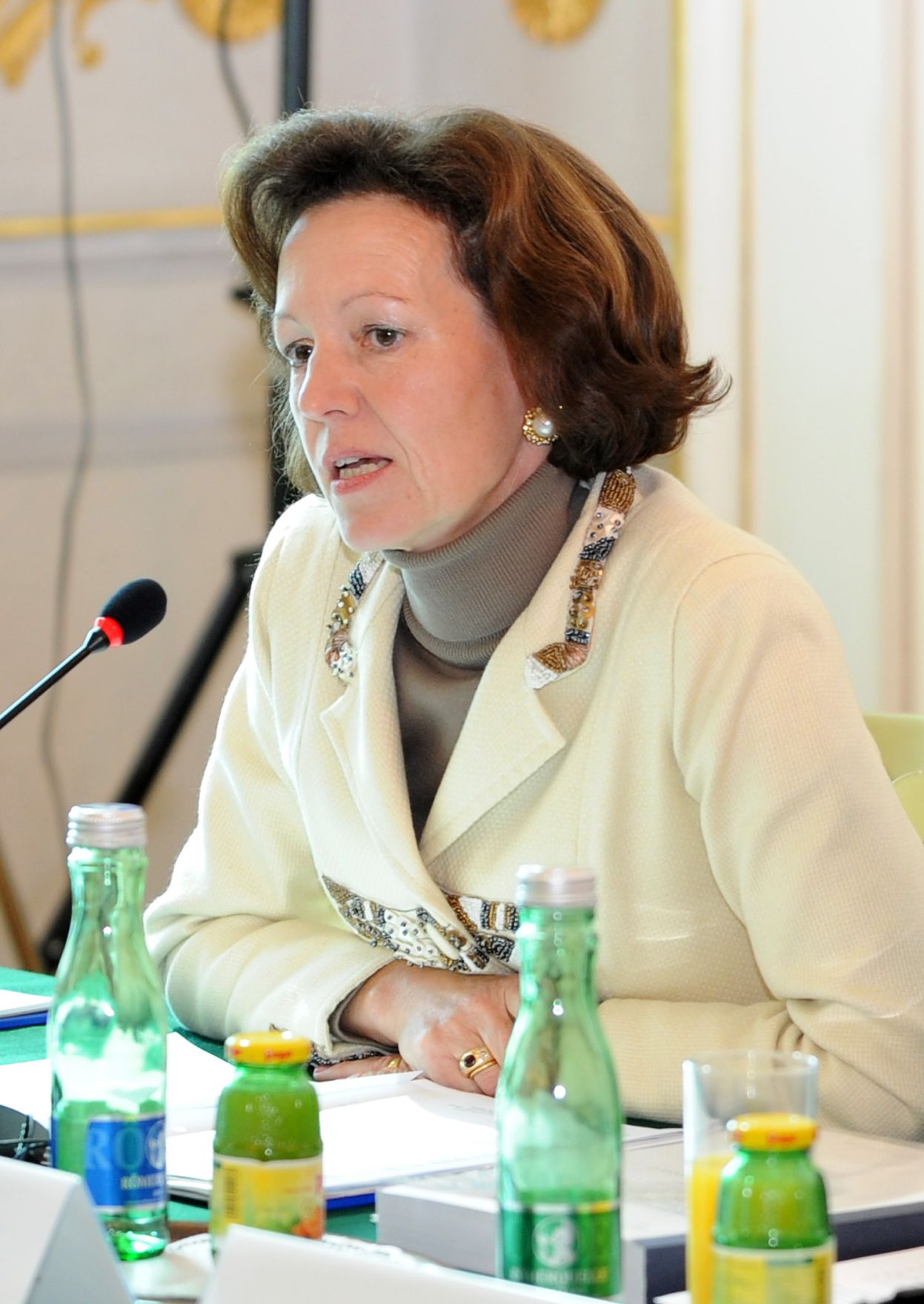 Am 20. September 2010 lud Frauenministerin Gabriele Heinisch-Hosek Regierungsvertreterinnen und -vertreter aller Nachbarstaaten &Ouml;sterreichs zu einem Roundtable-Gespr&auml;ch zum Thema &quot;Bek&auml;mpfung von Frauenhandel&quot; ins Bundeskanzleramt.