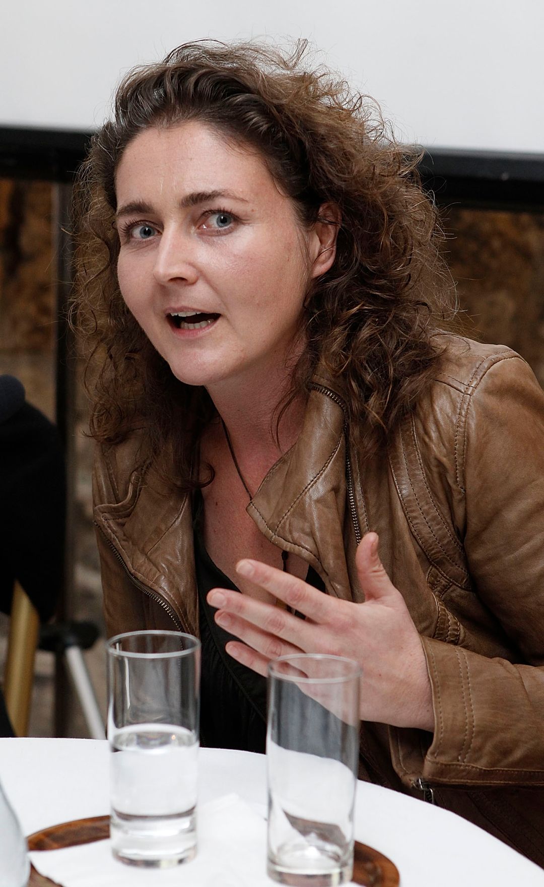 Am 23. September 2010 er&ouml;ffnete Frauenministerin Gabriele Heinisch-Hosek die Podiumsdiskussion &quot;Frauen-Arbeit-Film&quot; im Palais Porcia.