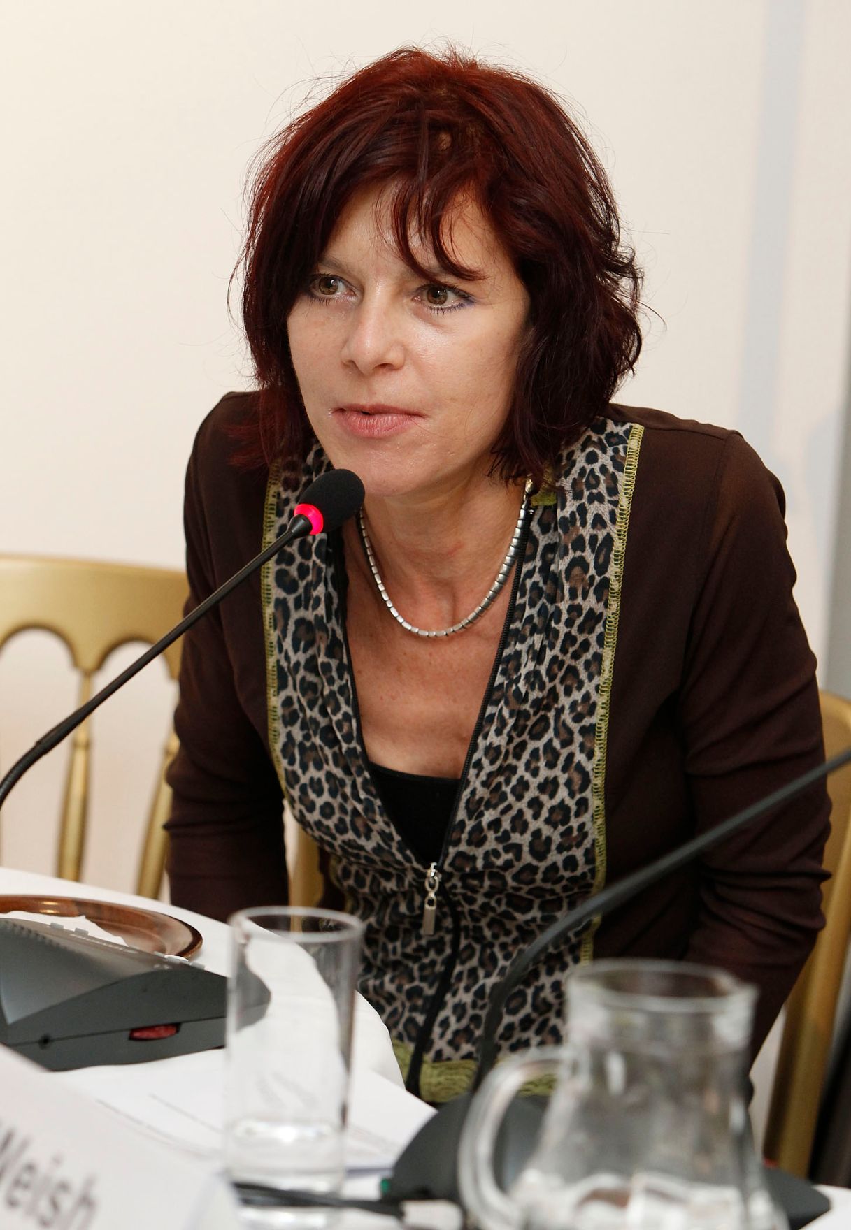 Am 23. September 2010 er&ouml;ffnete Frauenministerin Gabriele Heinisch-Hosek die Podiumsdiskussion &quot;Frauen-Arbeit-Film&quot; im Palais Porcia.