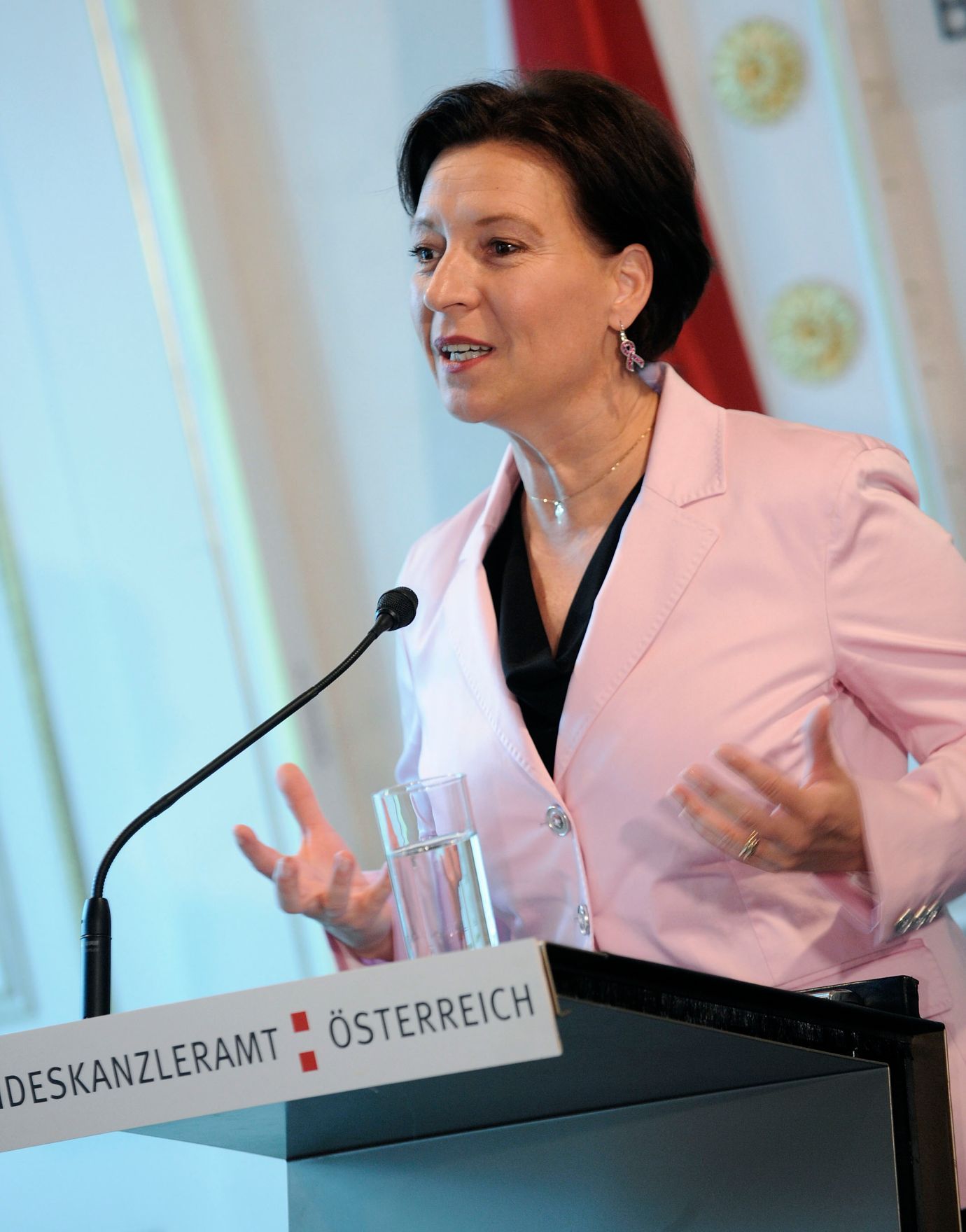 Bundesministerin Heinisch-Hosek bei der Pr&auml;sentation des Frauenberichtes 2010 im Bundeskanzleramt.