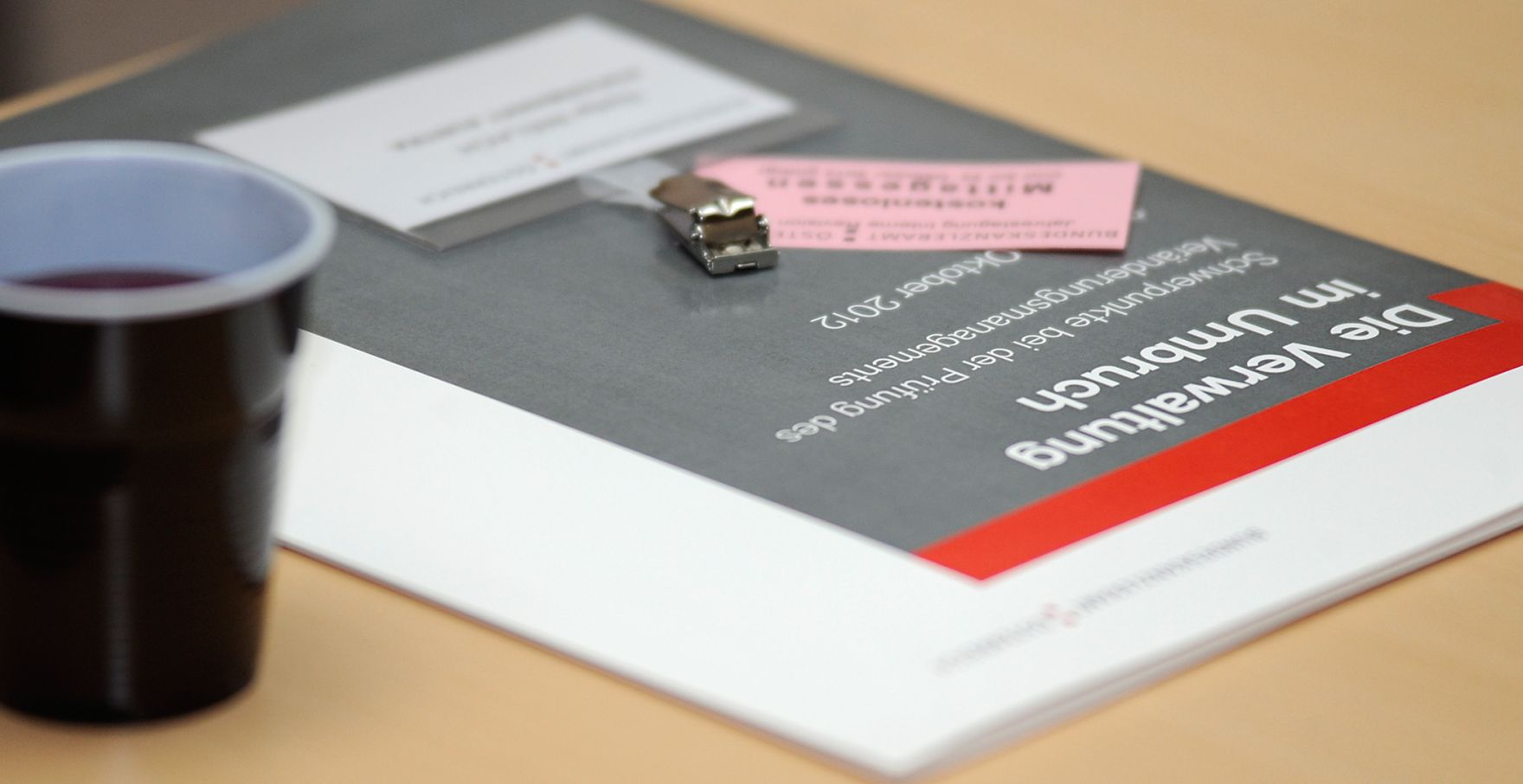 Am 22. Oktober 2012 er&ouml;ffnete Frauenministerin Gabriele Heinisch-Hosek die Jahrestagung der RevisorInnen im Freskensaal des Schloss Laudon.