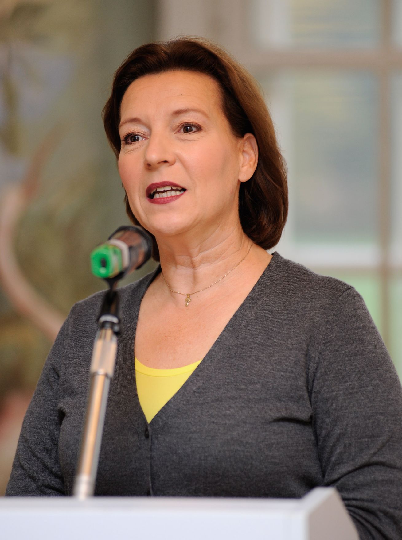 Am 22. Oktober 2012 er&ouml;ffnete Frauenministerin Gabriele Heinisch-Hosek (im Bild) die Jahrestagung der RevisorInnen im Freskensaal des Schloss Laudon.