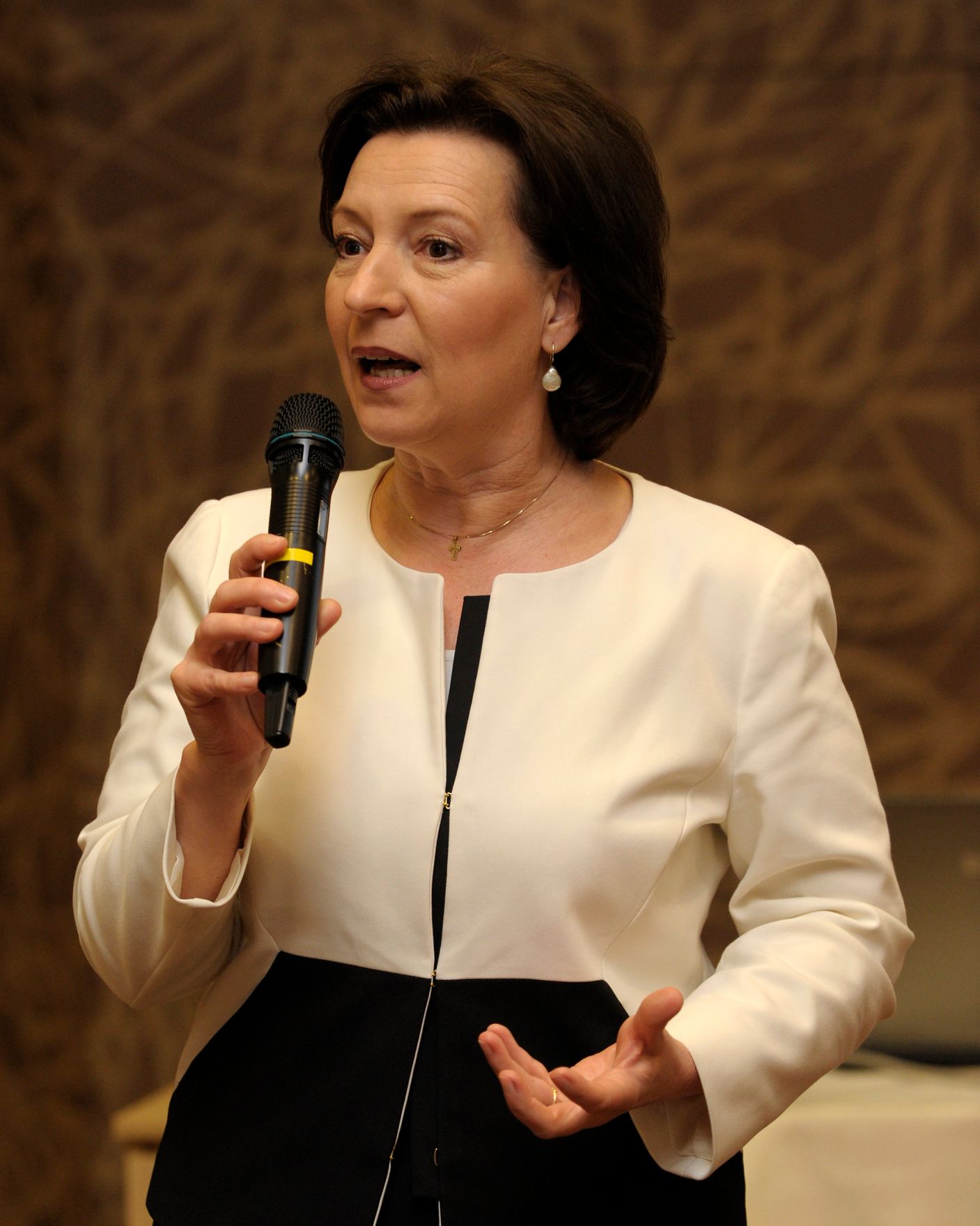 Am 29. April 2013 hielt Beamtenministerin Gabriele Heinisch-Hosek (im Bild) die Er&ouml;ffnungsworte beim Bildungskongress der Arbeitsgemeinschaft f&uuml;r Datenverarbeitung.