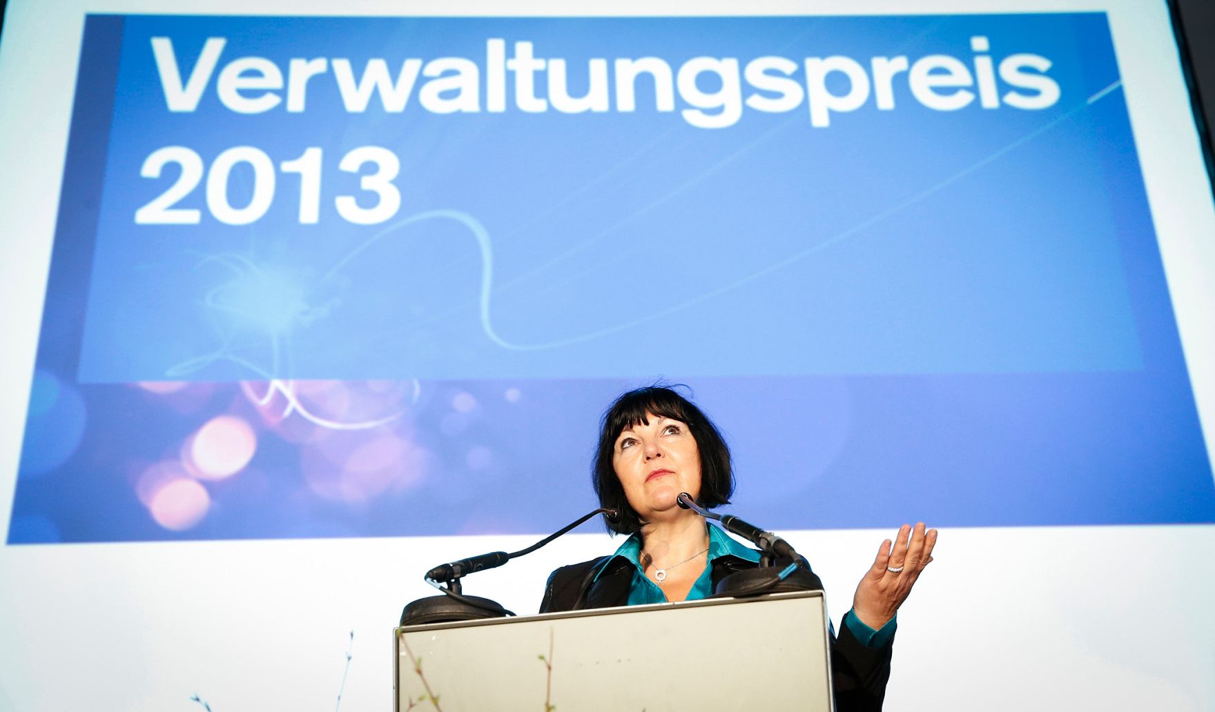 Am 7. Mai 2013 &uuml;berreichte Beamtenministerin Gabriele Heinisch-Hosek den Verwaltungspreis 2013 in der Akademie der Wissenschaften.