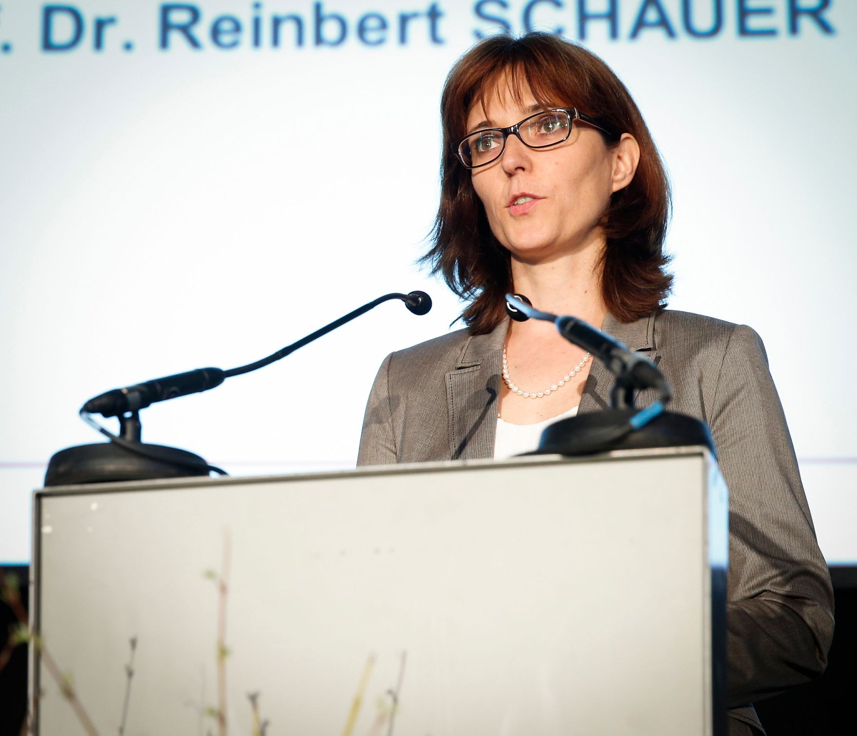 Am 7. Mai 2013 &uuml;berreichte Beamtenministerin Gabriele Heinisch-Hosek den Verwaltungspreis 2013 in der Akademie der Wissenschaften.