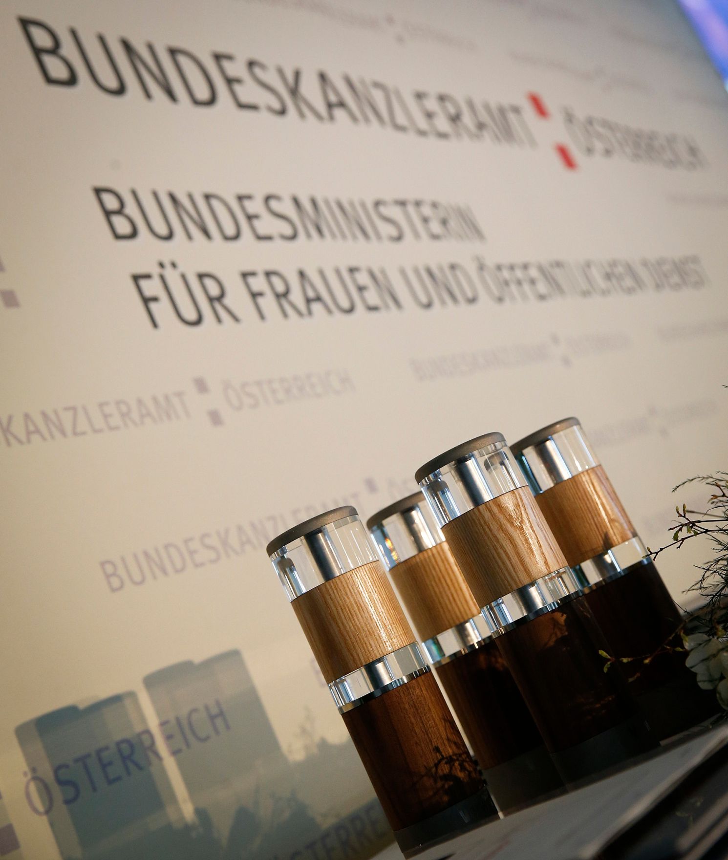 Am 7. Mai 2013 &uuml;berreichte Beamtenministerin Gabriele Heinisch-Hosek den Verwaltungspreis 2013 in der Akademie der Wissenschaften.