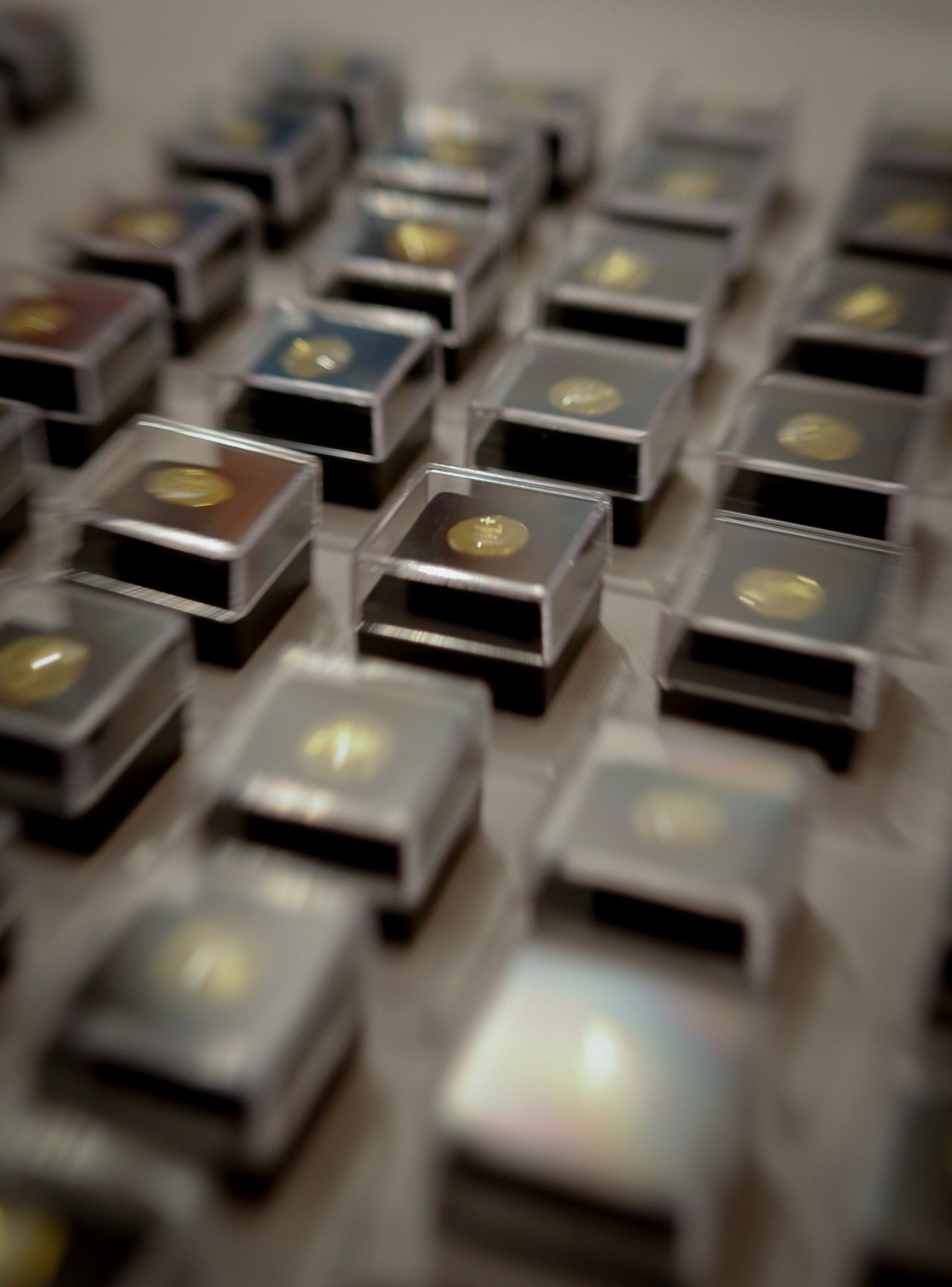 Am 24. Juni 2013 nahm Frauenministerin Gabriele Heinisch-Hosek an der Abschlussveranstaltung im Rahmen des Cross Mentoring Programms des Bundes teil.