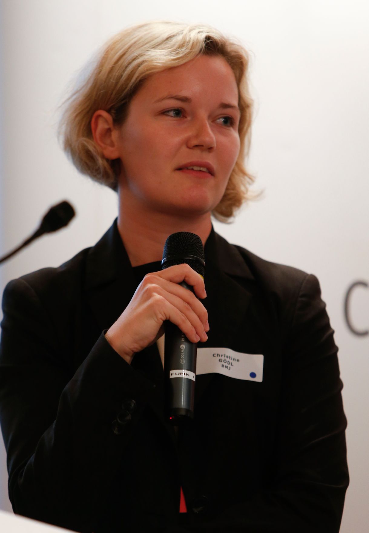 Am 24. Juni 2013 nahm Frauenministerin Gabriele Heinisch-Hosek an der Abschlussveranstaltung im Rahmen des Cross Mentoring Programms des Bundes teil.