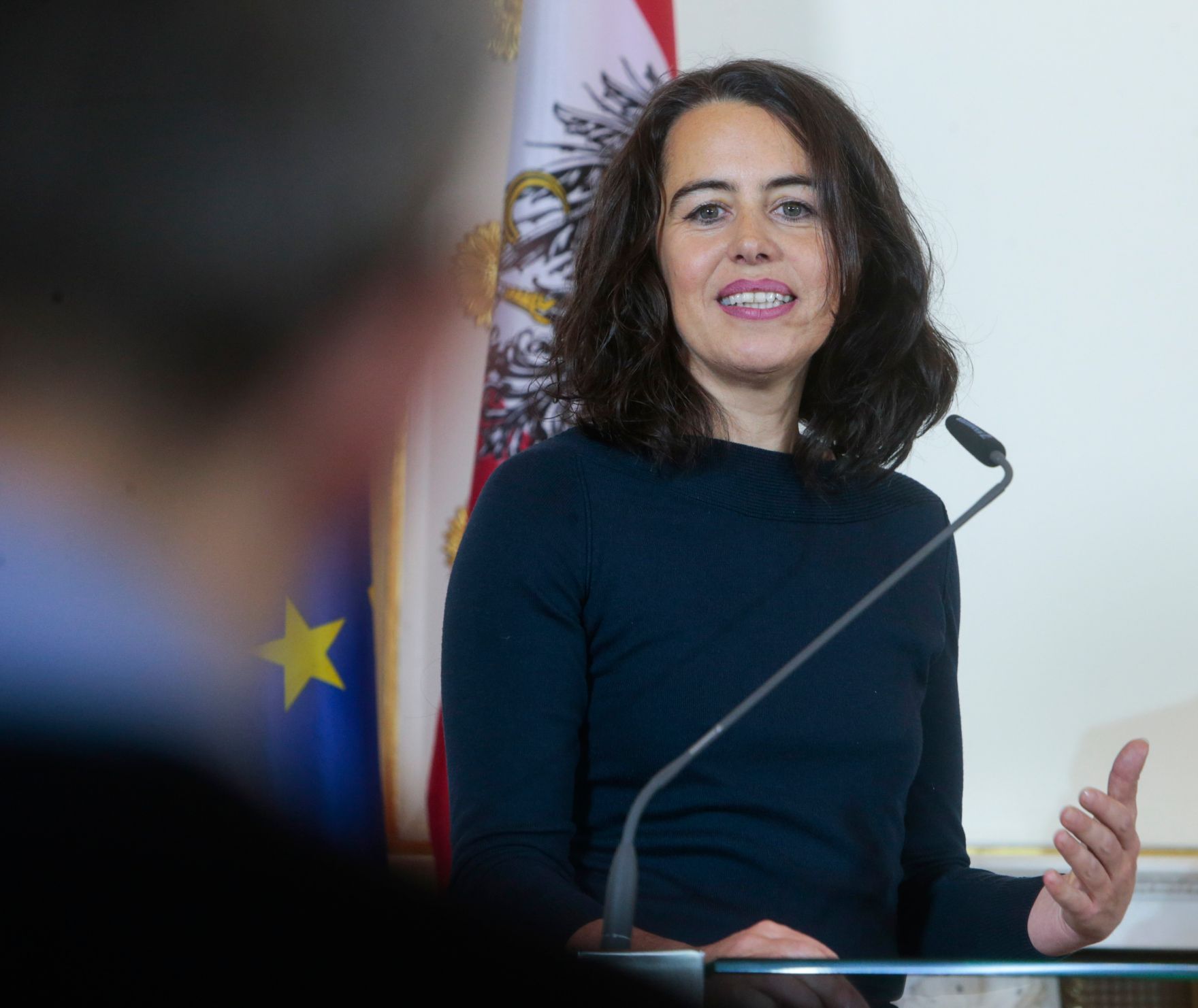 Am 14. Dezember 2015 fand im Bundeskanzleramt eine Pressekonferenz zur 15. Architektur-Biennale in Venedig 2016 statt. Im Bild die Ko-Kuratorin Sabine Dreher.