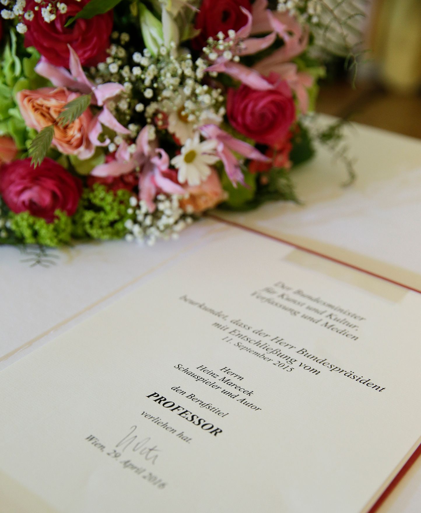 Am 25. April 2016 &uuml;berreichte Kunst- und Kulturminister Josef Ostermayer die Urkunde, mit der Heinz Marecek der Berufstitel Professor verliehen wurde.