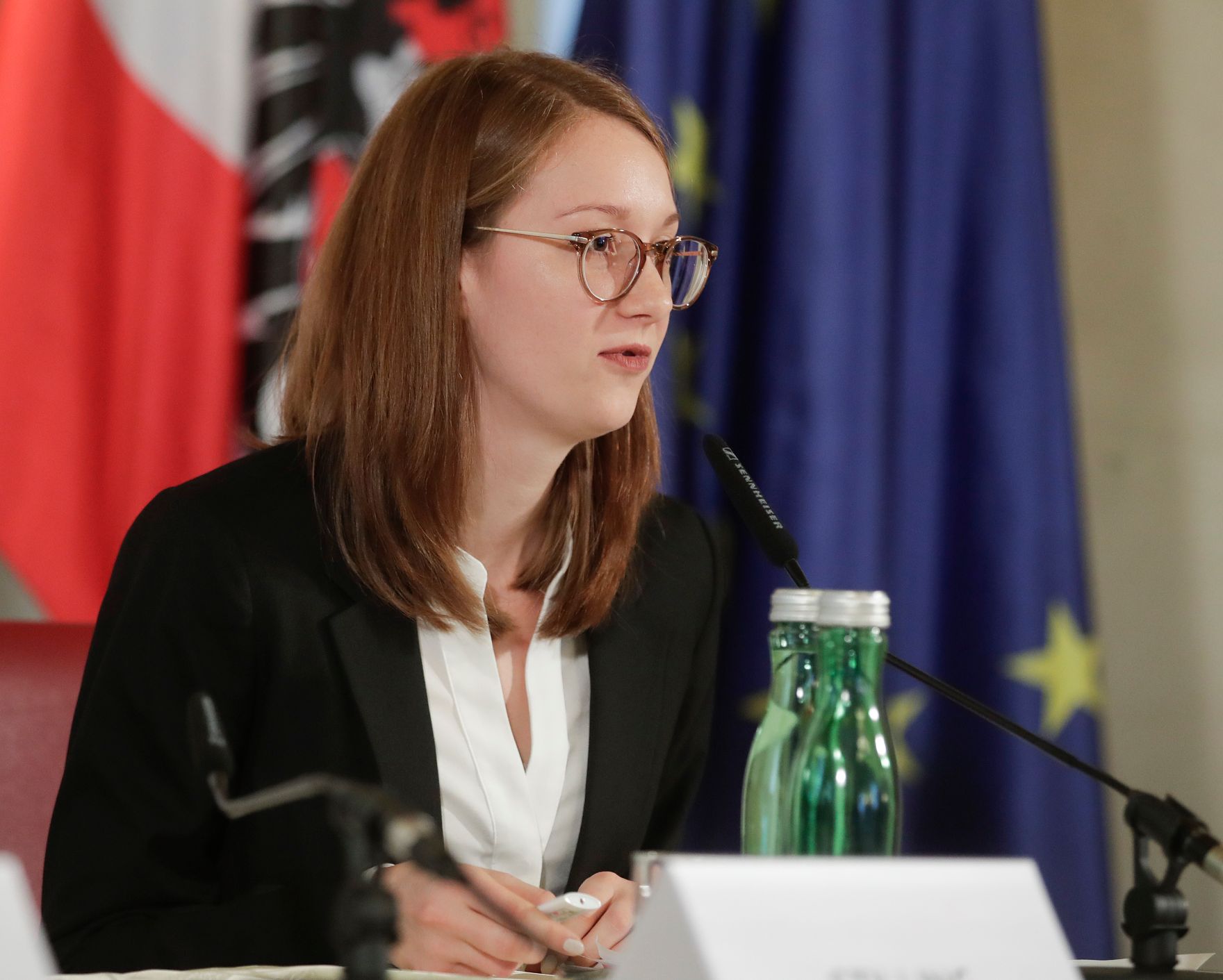 Bei der Pressekonferenz am 26. November 2019 wurden von Bundesministerin Ines Stilling, Bundesminister Wolfgang Peschorn, Franz Lang, Stellvertretender Generaldirektor f&uuml;r die &ouml;ffentliche Sicherheit und Hanna Rumpold, Institut f&uuml;r Strafrecht und Kriminologie der Universit&auml;t Wien die Erkenntnisse der Screening-Gruppe Frauenmorde pr&auml;sentiert und Initiativen zur St&auml;rkung des Opferschutzes und zur Gewaltpr&auml;vention vorgestellt.
