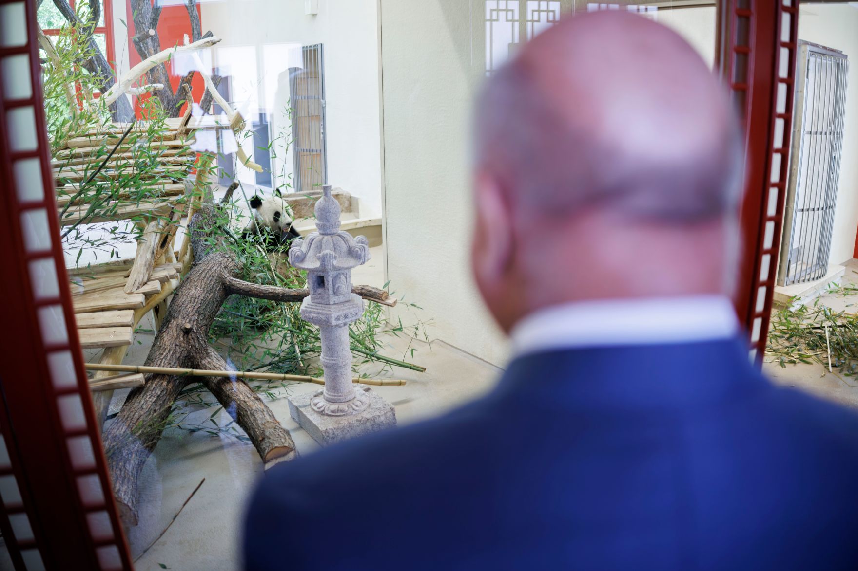 Am 14. Mai 2025 nahm Bundeskanzler Christian Stocker an der feierlichen &Uuml;bergabe des Panda-Paares im Tiergarten Sch&ouml;nbrunn teil.