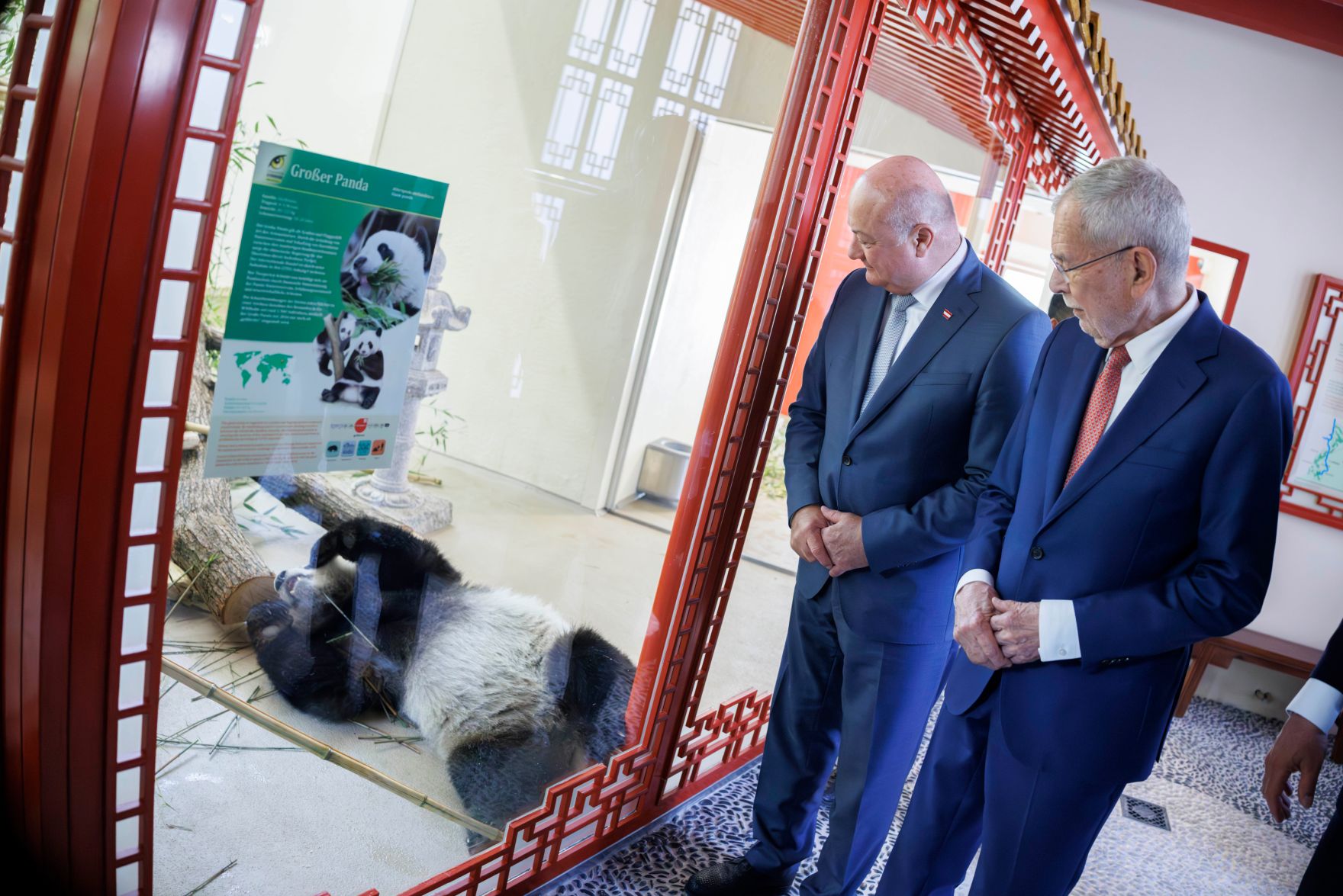 Am 14. Mai 2025 nahm Bundeskanzler Christian Stocker (l.) an der feierlichen &Uuml;bergabe des Panda-Paares im Tiergarten Sch&ouml;nbrunn teil. Im Bild mit Bundespr&auml;sident Alexander Van der Bellen (r.).