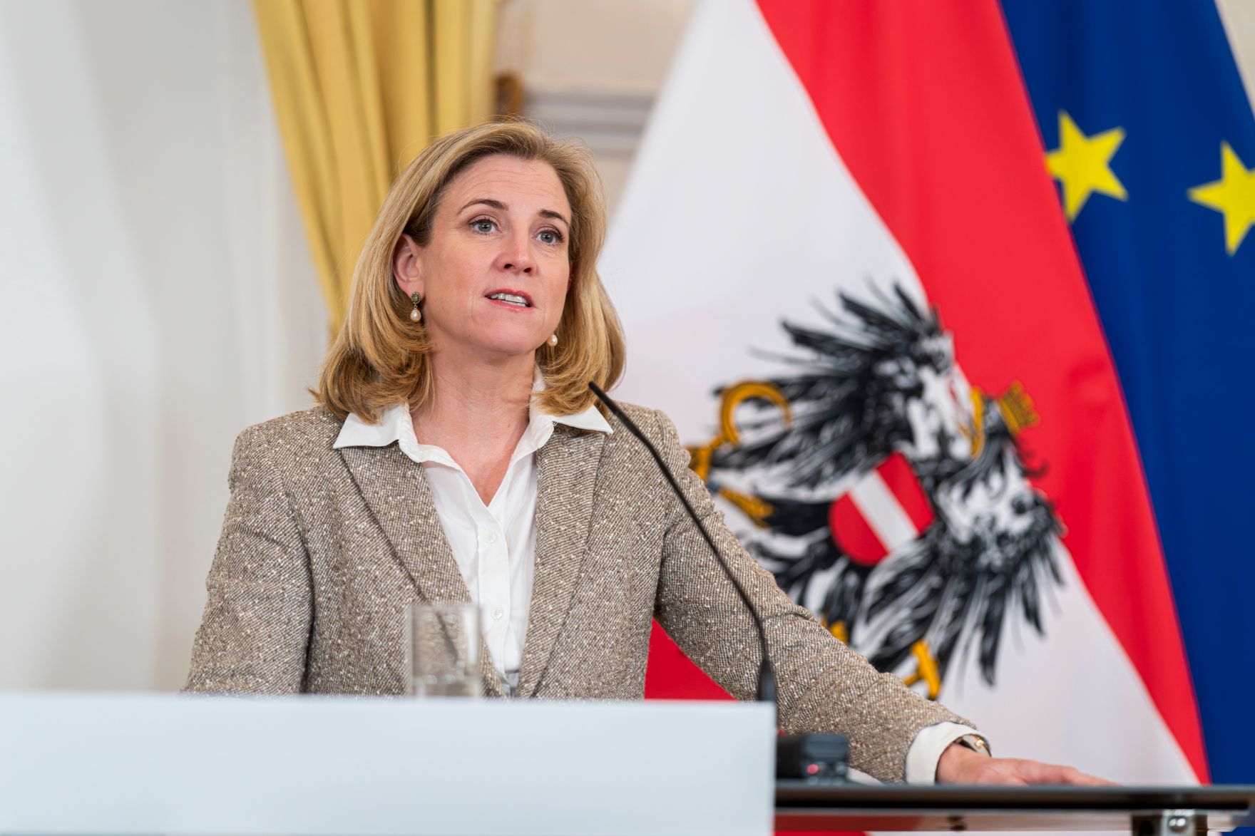 Am 17. Oktober 2026 nahmen Bundeskanzler Christian Stocker, Vizekanzler Andreas Babler und Bundesministerin Beate Meinl-Reisinger (im Bild) an einer Pressekonferenz zum Arbeitstreffen der Regierungsspitze teil.