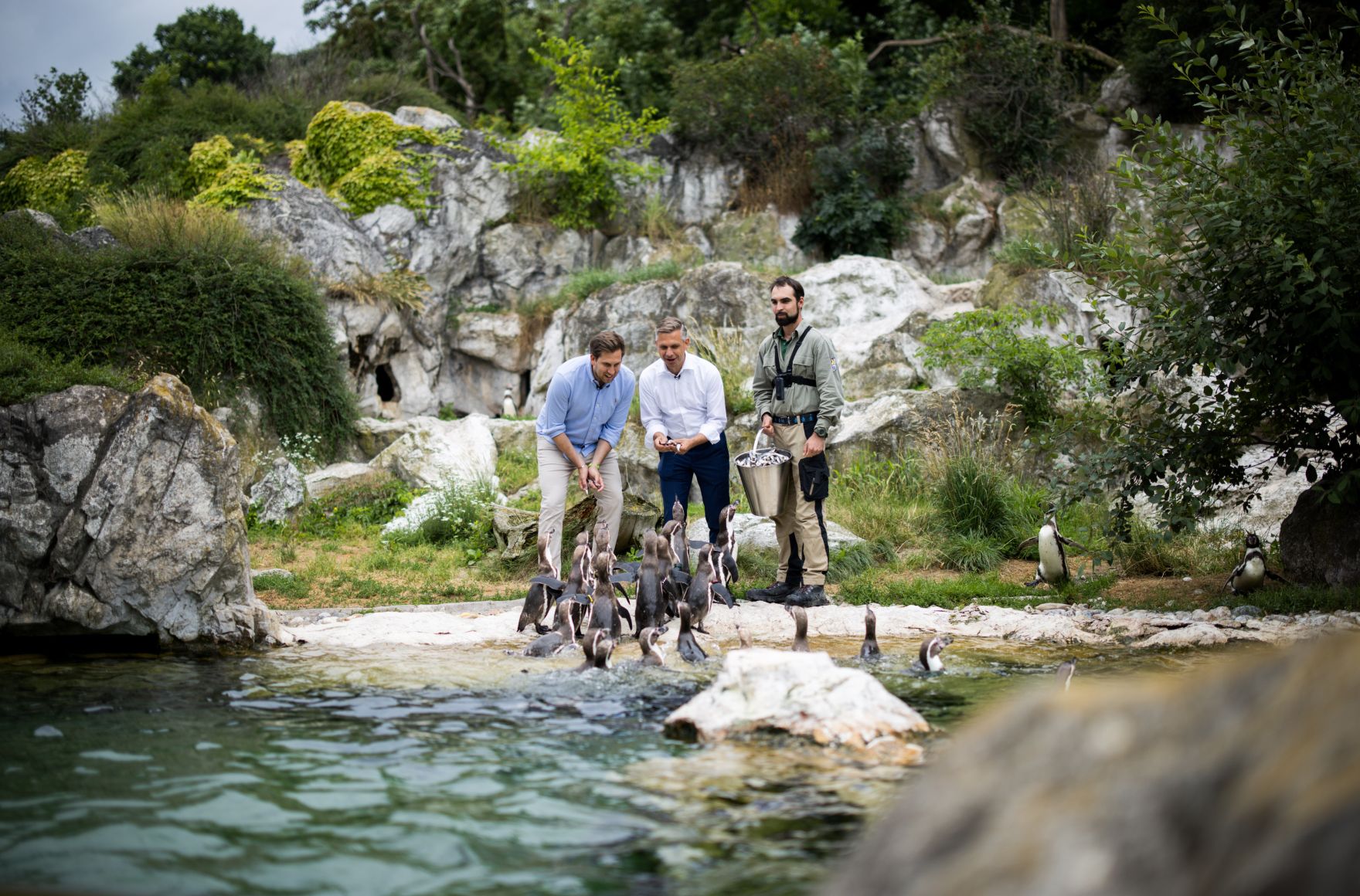 Am 9. Juli 2025 nahm Staatssekret&auml;r Alexander Pr&ouml;ll (l.) gemeinsam mit Bundesminister Wolfgang Hattmannsdorfer (m.) im Rahmen der ID-Austria Servicetour an der Pinguinf&uuml;tterung im Tiergarten Sch&ouml;nbrunn teil. Im Bild bei der ID-Austria Challenge.