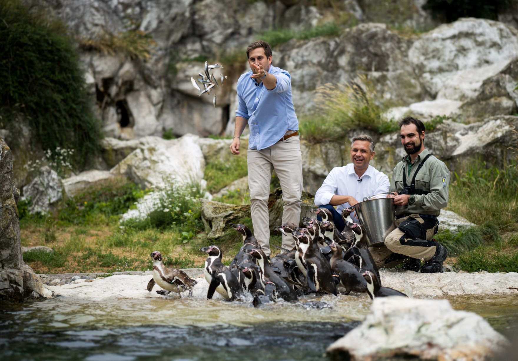 Am 9. Juli 2025 nahm Staatssekret&auml;r Alexander Pr&ouml;ll (l.) gemeinsam mit Bundesminister Wolfgang Hattmannsdorfer (m.) im Rahmen der ID-Austria Servicetour an der Pinguinf&uuml;tterung im Tiergarten Sch&ouml;nbrunn teil. Im Bild bei der ID-Austria Challenge.