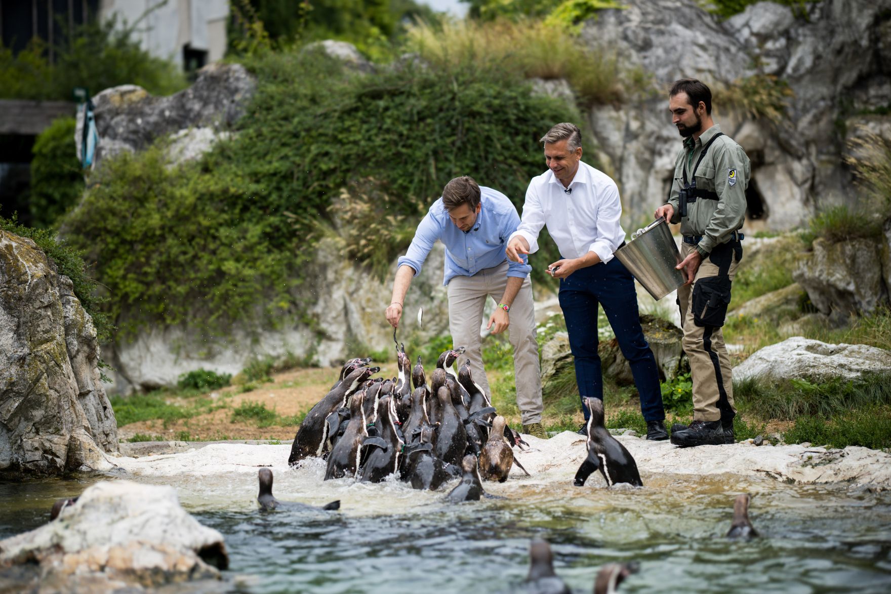 Am 9. Juli 2025 nahm Staatssekret&auml;r Alexander Pr&ouml;ll (l.) gemeinsam mit Bundesminister Wolfgang Hattmannsdorfer (m.) im Rahmen der ID-Austria Servicetour an der Pinguinf&uuml;tterung im Tiergarten Sch&ouml;nbrunn teil. Im Bild bei der ID-Austria Challenge.