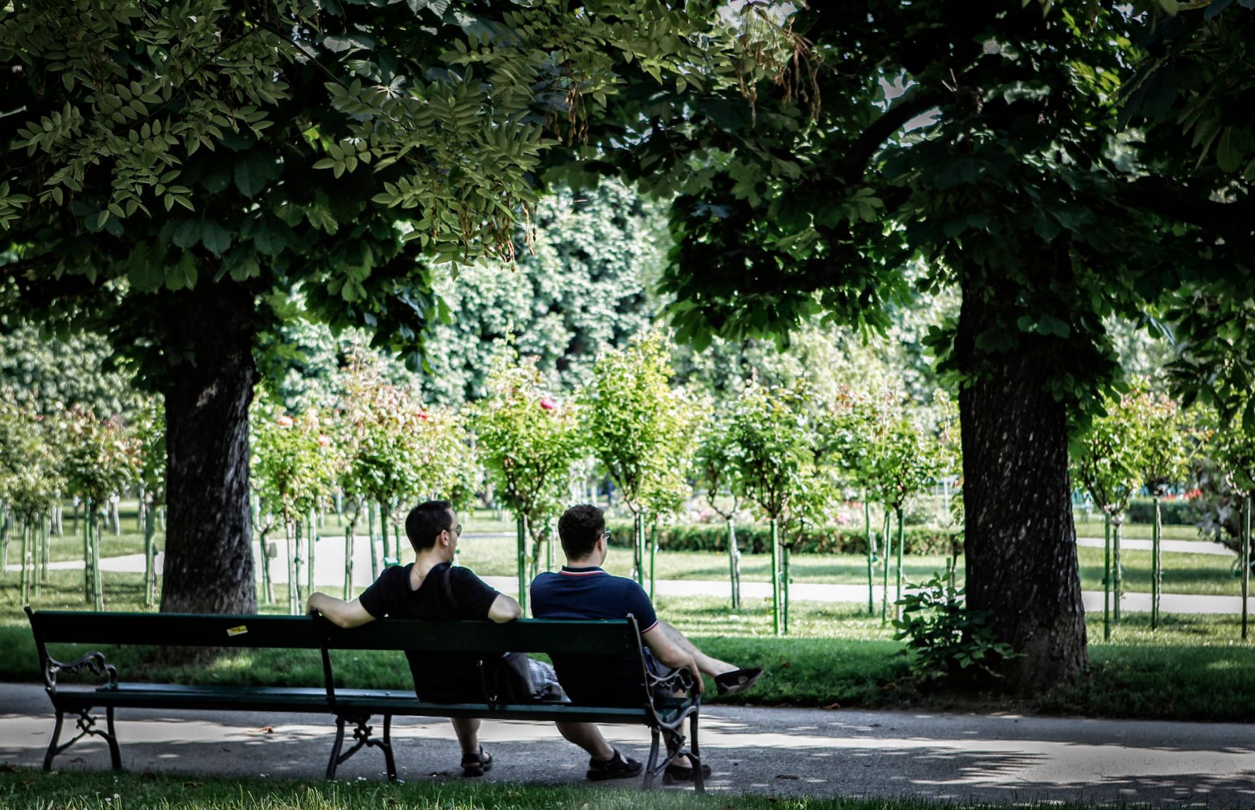 Zwei M&auml;nner sitzen auf einer Parkbank im Volksgarten in Wien. Schlagworte: B&auml;nke, B&auml;ume, Menschen, Natur, Park, Parkbank, Stadtlandschaft