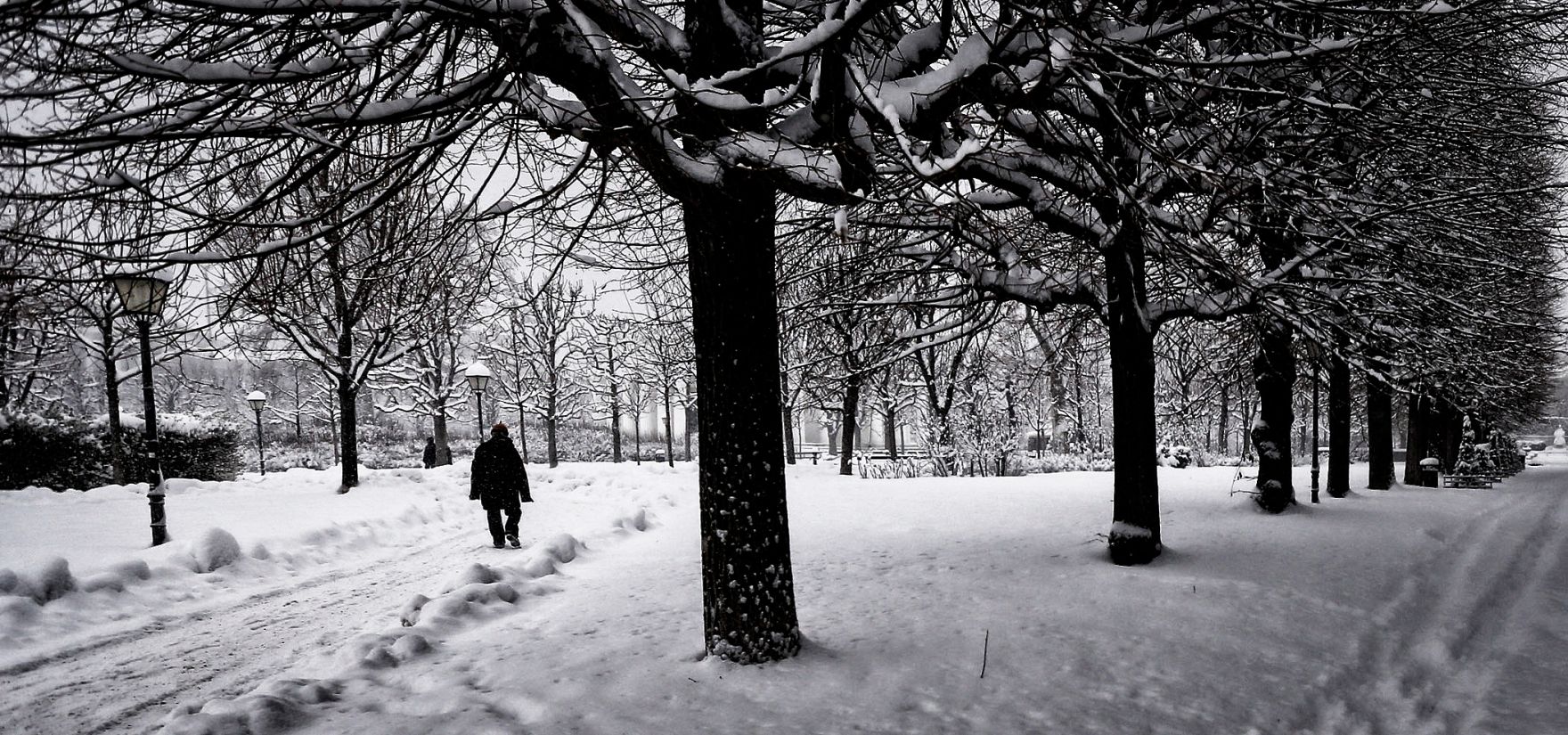 Eine winterliche Aufnahme des Volksgartens. Schlagworte: B&auml;ume, Mensch, Natur, Schnee, Stadtlandschaft, Winter