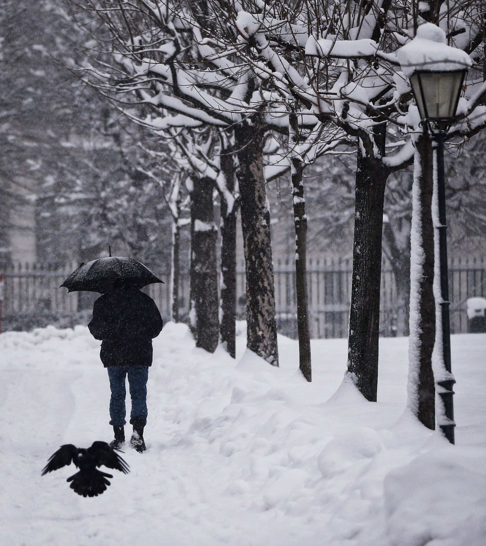 Eine winterliche Aufnahme des Volksgartens. Schlagworte: B&auml;ume, Laterne, Mensch, Natur, Regenschirm, Schnee, Stadtlandschaft, Tier, Vogel, Winter