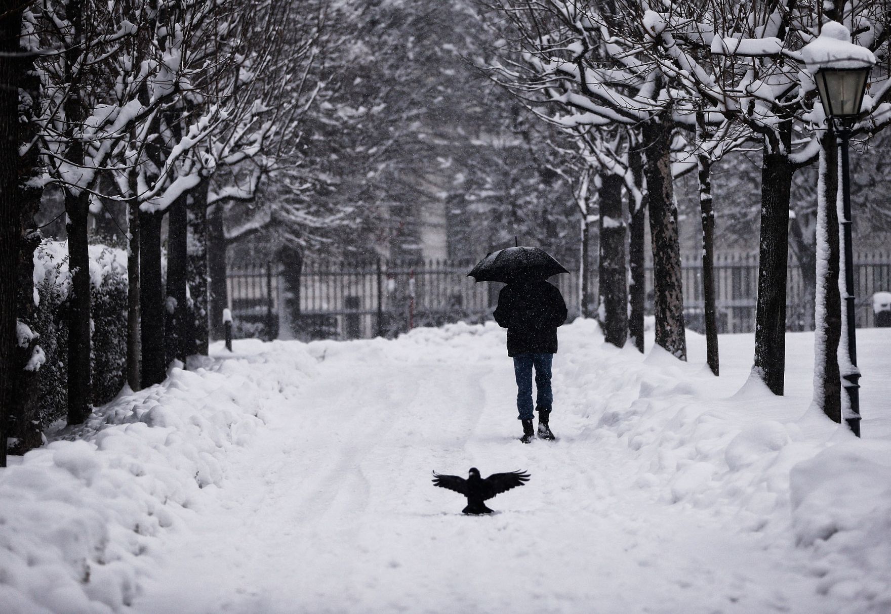 Eine winterliche Aufnahme des Volksgartens. Schlagworte: B&auml;ume, Laterne, Mensch, Natur, Regenschirm, Schnee, Stadtlandschaft, Tier, Vogel, Winter