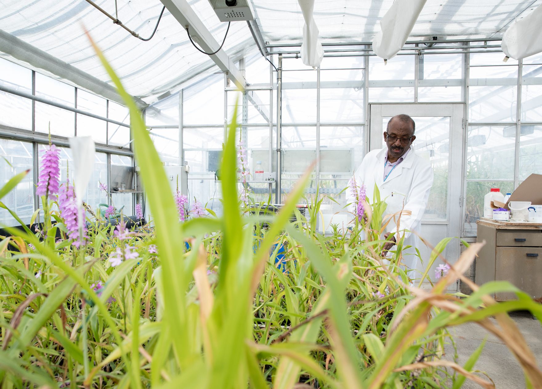 Ein Mitarbeiter in der Internationalen Atomenergie-Organisation. Schlagw&ouml;rter: IAEO, IAEA, International Atomic Energy Agency, Pflanzen, Radioaktivit&auml;t, radioaktiv, Versuch, Wissenschaft, Vereinte Nationen, Sicherheit, Kernenergie, Rat f&uuml;r Umwelt, ENVI, Rat f&uuml;r Wettbewerbsf&auml;higkeit, COMPET