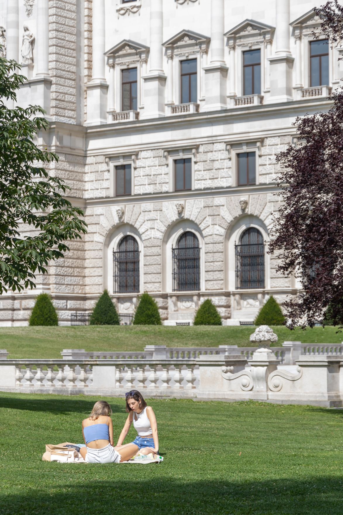 Personen sitzen auf einer Picknickdecke im Burggarten. Schlagw&ouml;rter: Picknick, Innenstadt, Baum