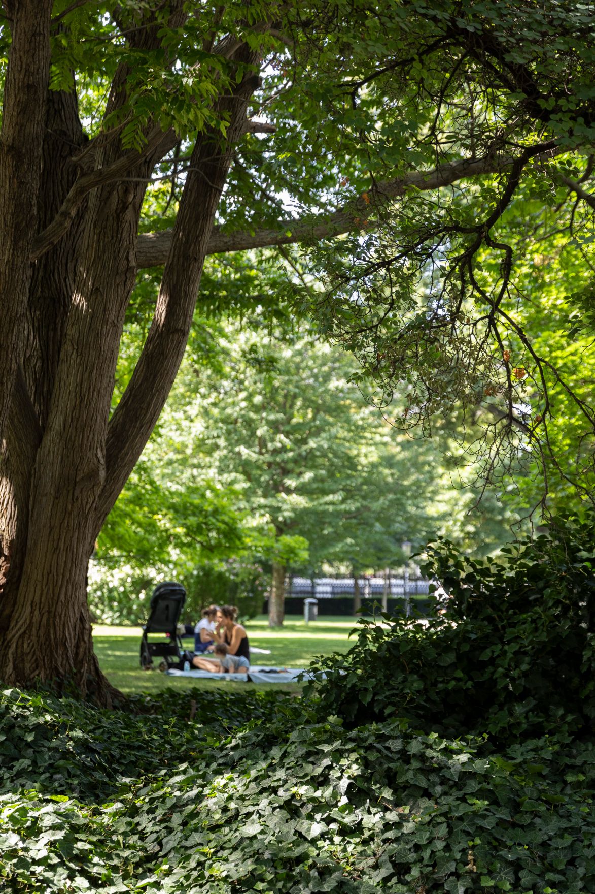 Personen sitzen auf einer Picknickdecke im Burggarten. Schlagw&ouml;rter: Picknick, Innenstadt, Baum, Familie