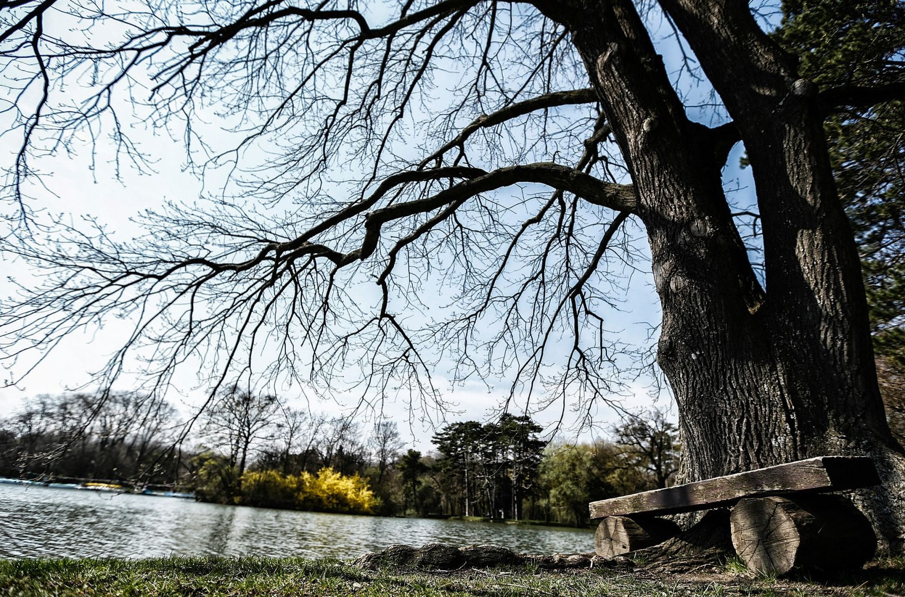 Eine fr&uuml;hlingshafte Aufnahme des Parks von Laxenburg. Schlagworte: B&auml;ume, Fr&uuml;hling, Natur, Park, Parkbank, Pflanzen, Wasser