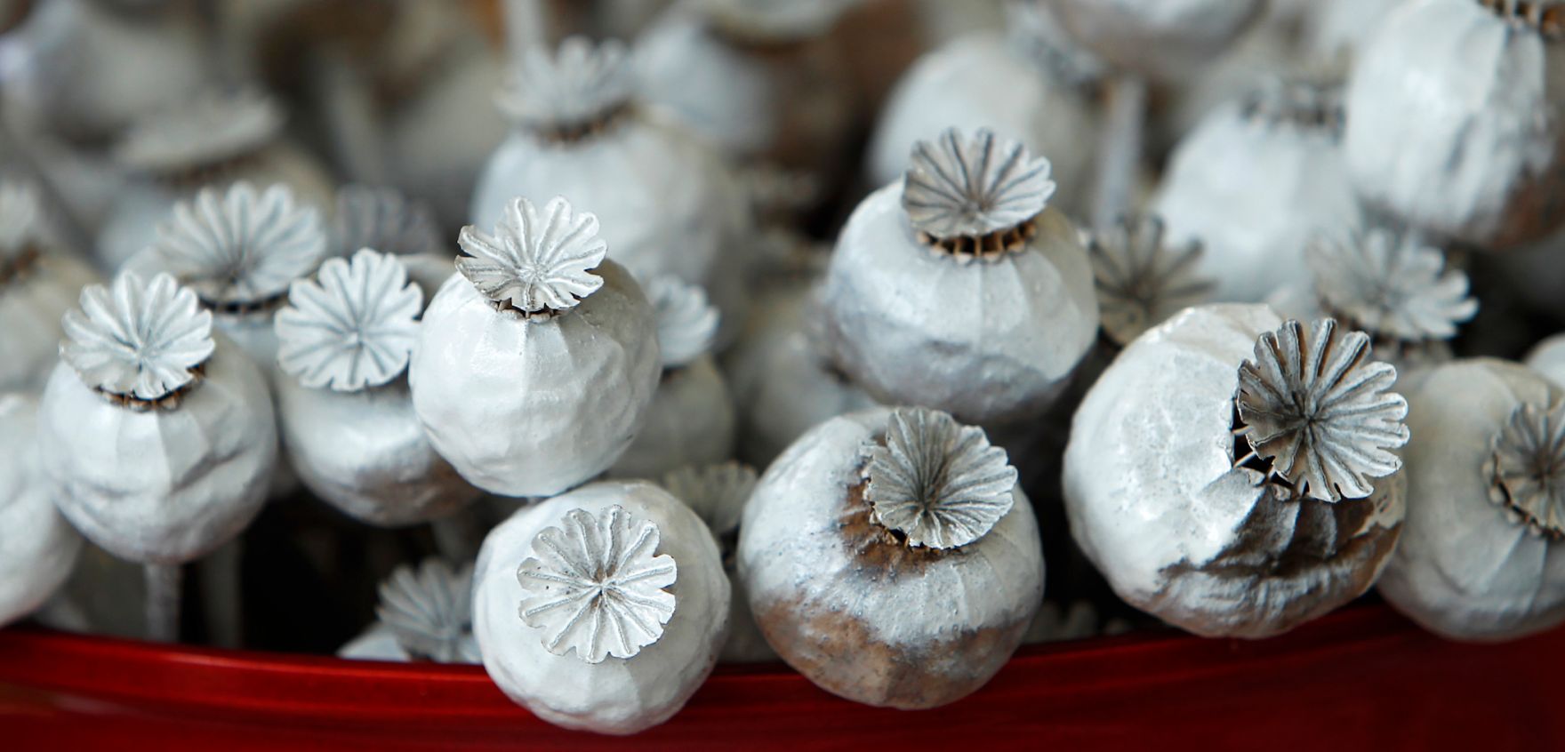 Weisse Mohnkapseln aus Keramik. Schlagworte: Dekoration, Kunst, Natur, Pflanze