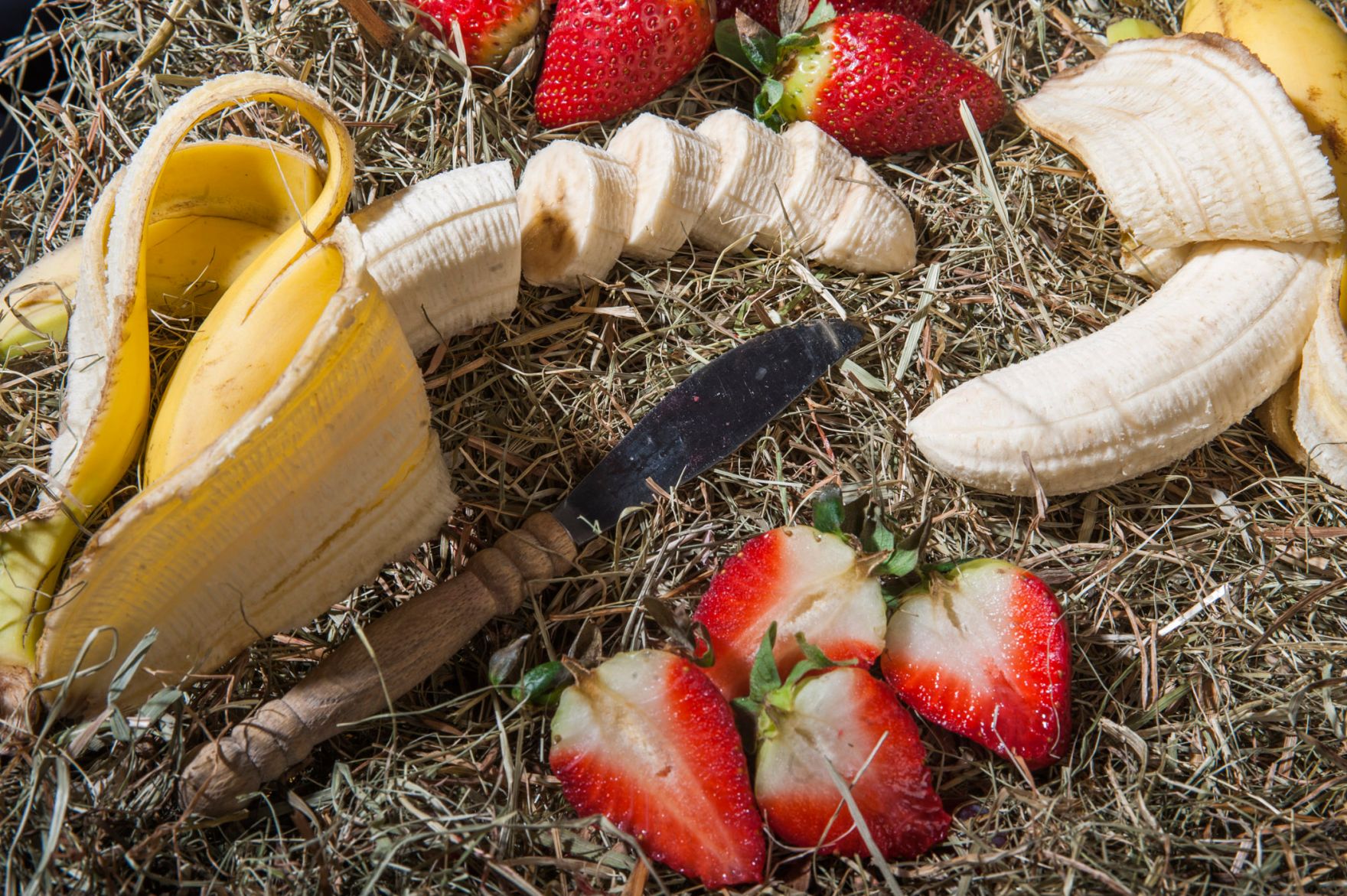 Eine Auswahl von Obst. Schlagworte: Bananen, Erdbeeren, Heu, Lebensmittel, Messer, Natur, Obst