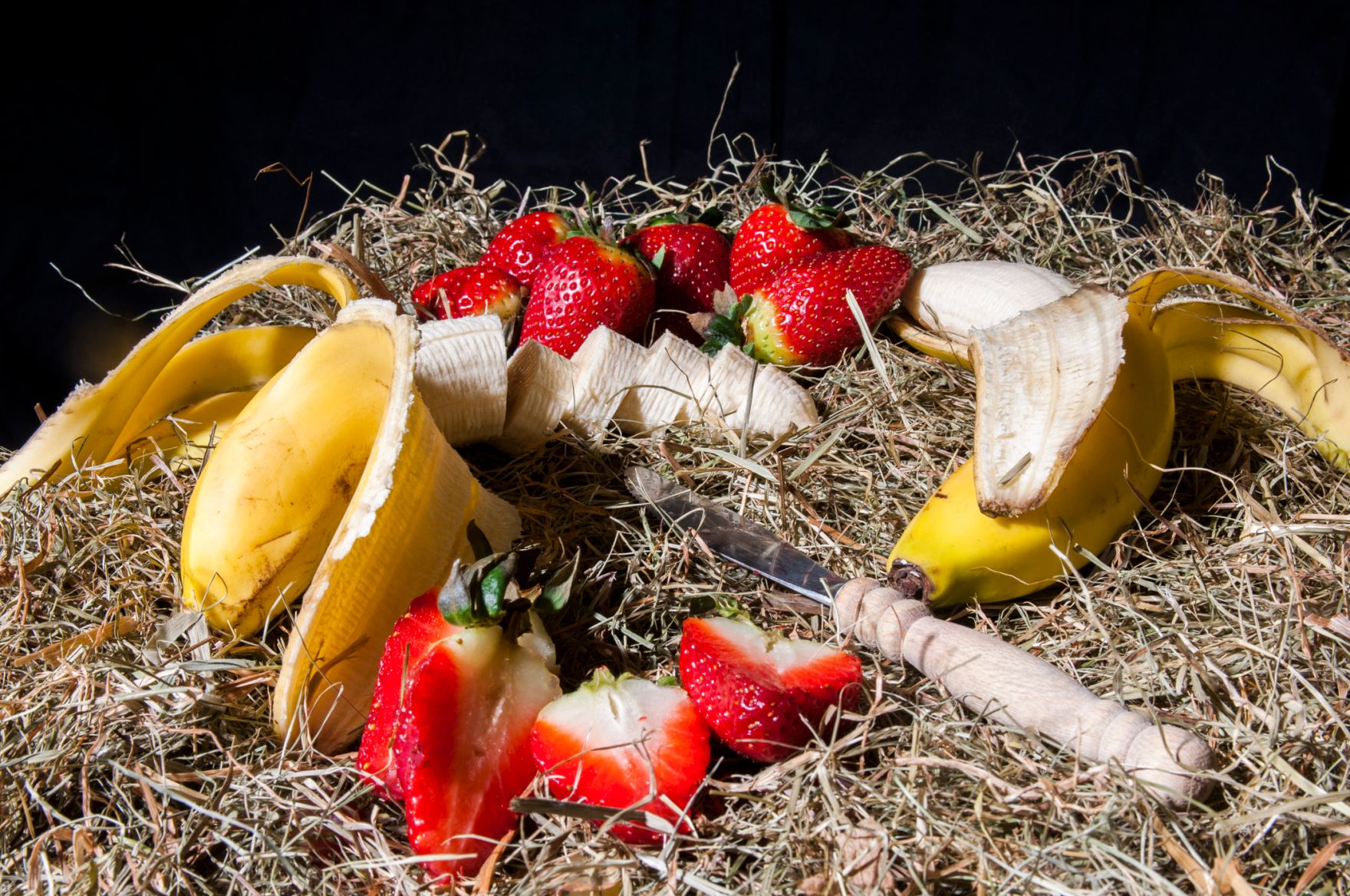 Eine Auswahl von Obst. Schlagworte: Bananen, Erdbeeren, Heu, Lebensmittel, Messer, Natur, Obst
