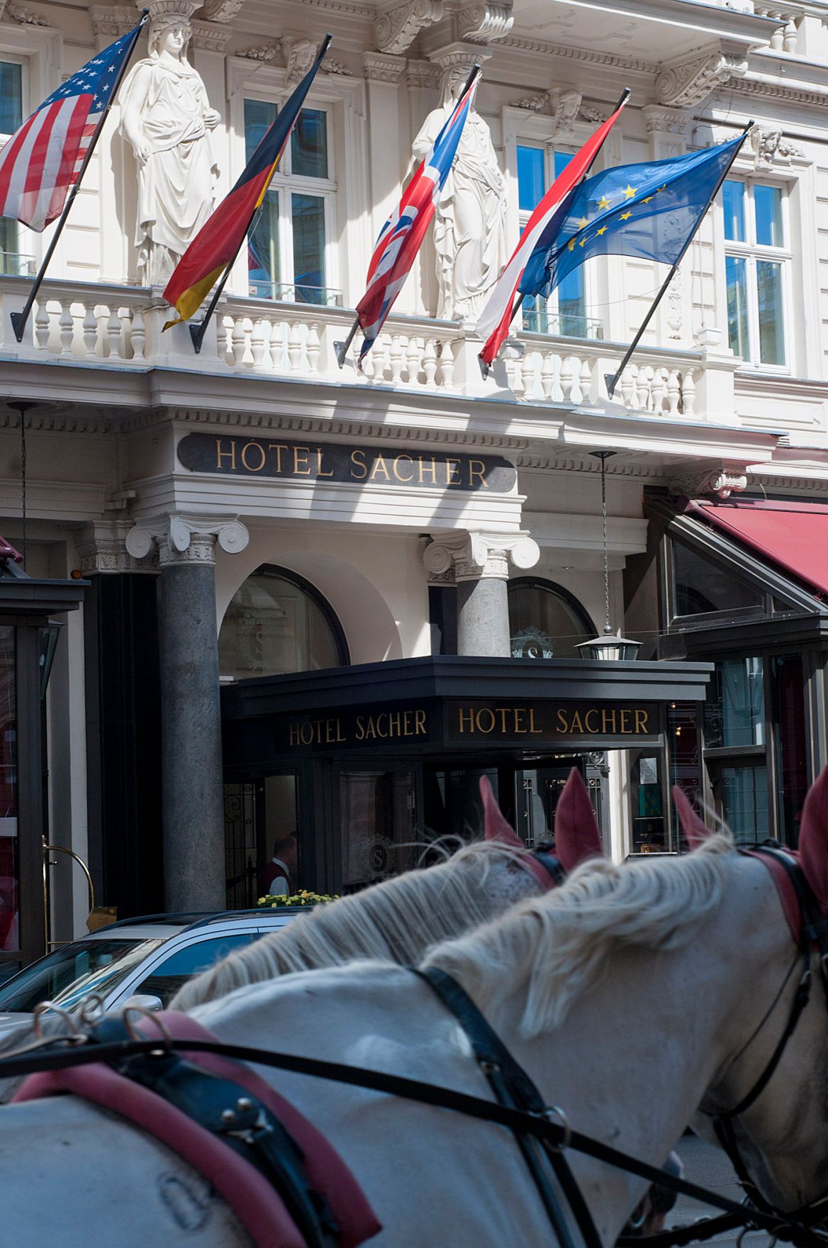 Fiaker vor dem Hotel Sacher. Schlagworte: Architektur, Fahnen, Flaggen, Geb&auml;ude, Pferde, Sehensw&uuml;rdigkeit, Stadtlandschaft, Tiere