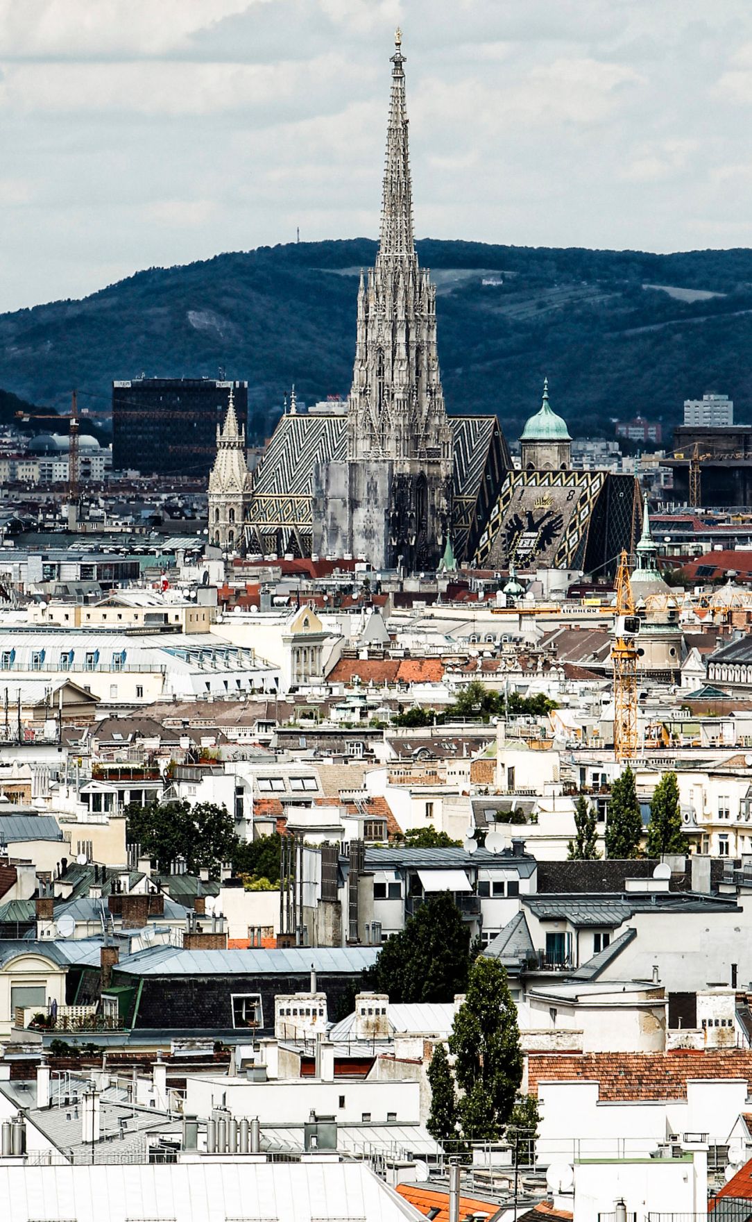 Der Stephansdom &uuml;ber den D&auml;chern von Wien. Schlagworte: Architektur, Berg, Geb&auml;ude, Himmel, Kirche, Sehensw&uuml;rdigkeit, Stadtlandschaft, Wolken