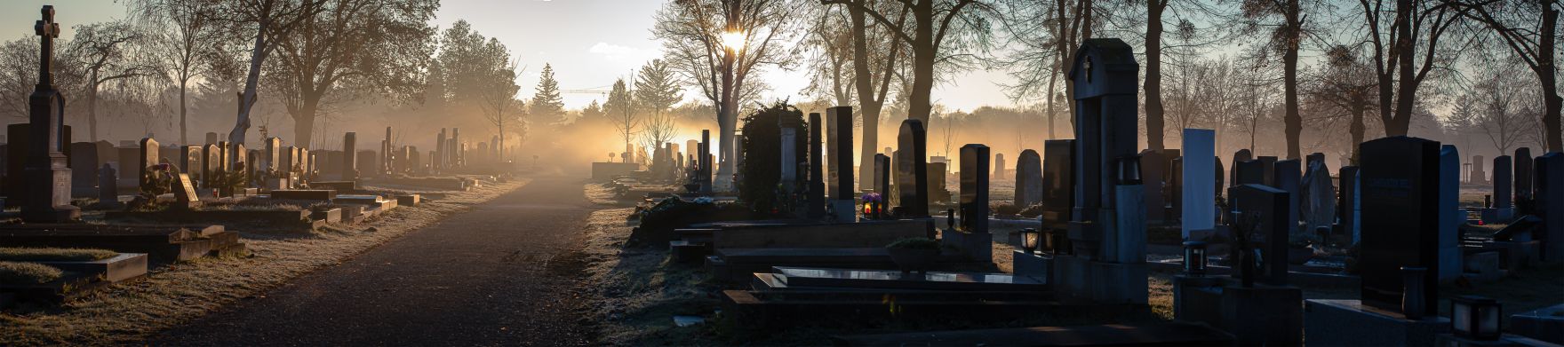 Wiener Zentralfriedhof: Morgenstimmung, Friedhof, Friedhofsruhe, Nebel, Wien, Winter, Sonnenaufgang