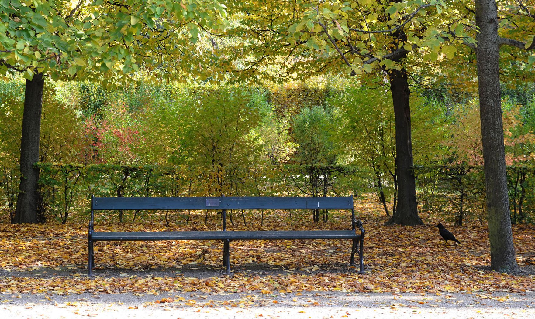 Eine Parkbank im herbstlichen Park des Schloss Sch&ouml;nbrunn. Schlagworte: Bank, Herbst, Natur, Park, Sch&ouml;nbrunn, Stadtlandschaft