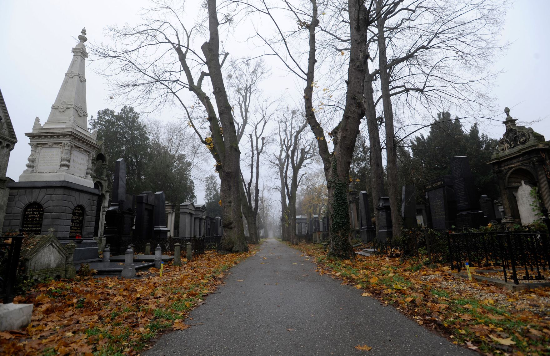 Impression des alten Teils des Wiener Zentralfriedhof. Schlagworte: Friedhof, Gr&auml;ber, Natur, Stadtlandschaft, Zentralfriedhof
