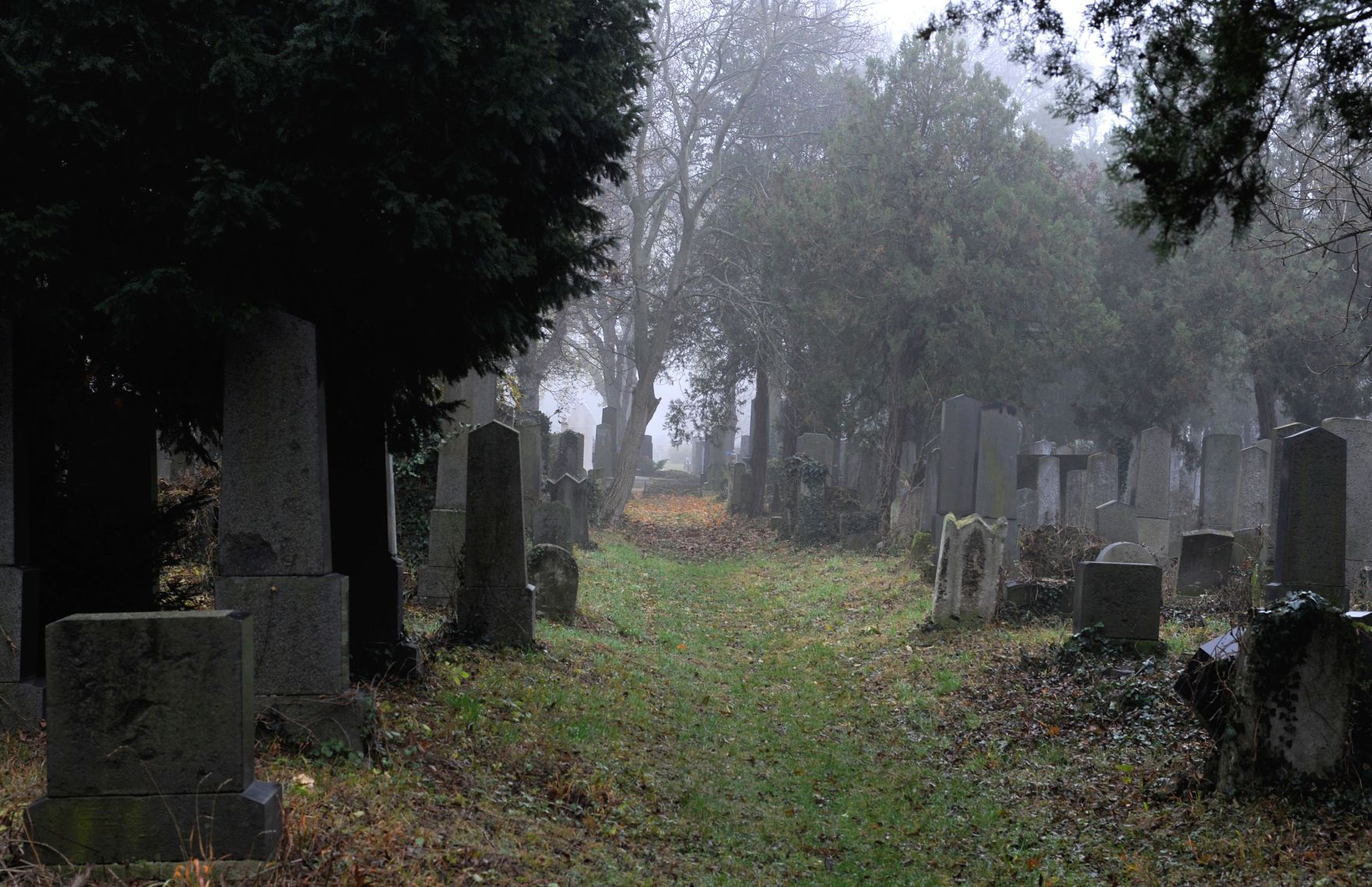 Impression des alten Teils des Wiener Zentralfriedhof. Schlagworte: Friedhof, Gr&auml;ber, Natur, Stadtlandschaft, Zentralfriedhof