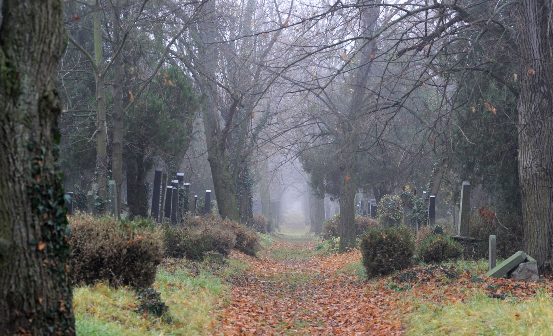 Impression des alten Teils des Wiener Zentralfriedhof. Schlagworte: Friedhof, Gr&auml;ber, Natur, Stadtlandschaft, Zentralfriedhof