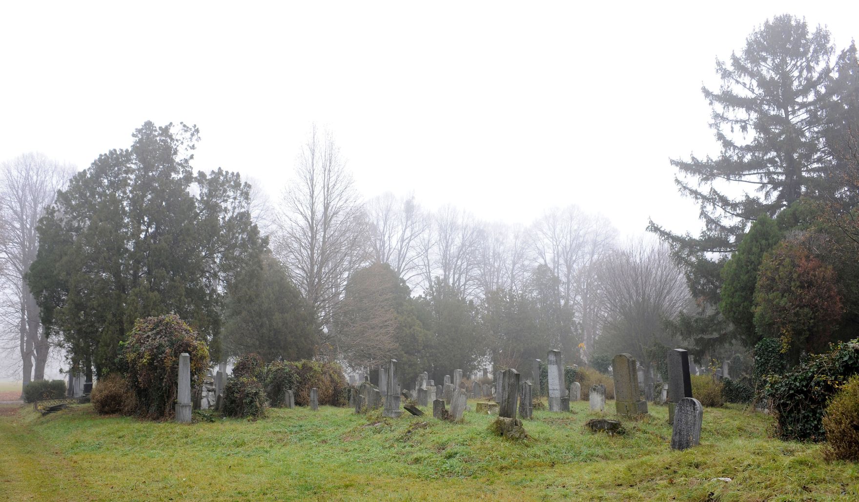 Impression des alten Teils des Wiener Zentralfriedhof. Schlagworte: Friedhof, Gr&auml;ber, Natur, Stadtlandschaft, Zentralfriedhof