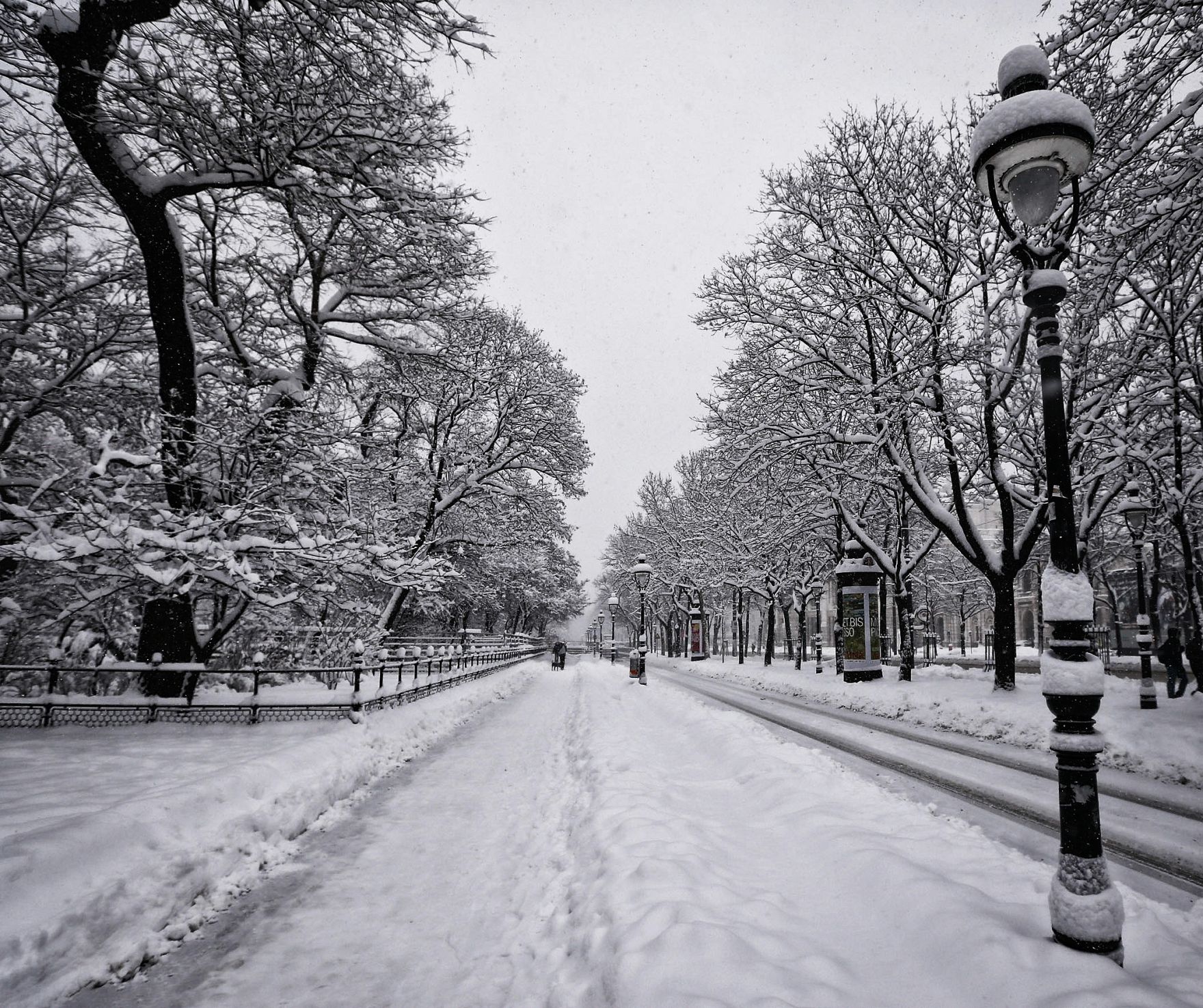 Eine winterliche Aufnahme des Rathausparks. Schlagworte: B&auml;ume, Laternen, Natur, Schnee, Stadtlandschaft, Winter